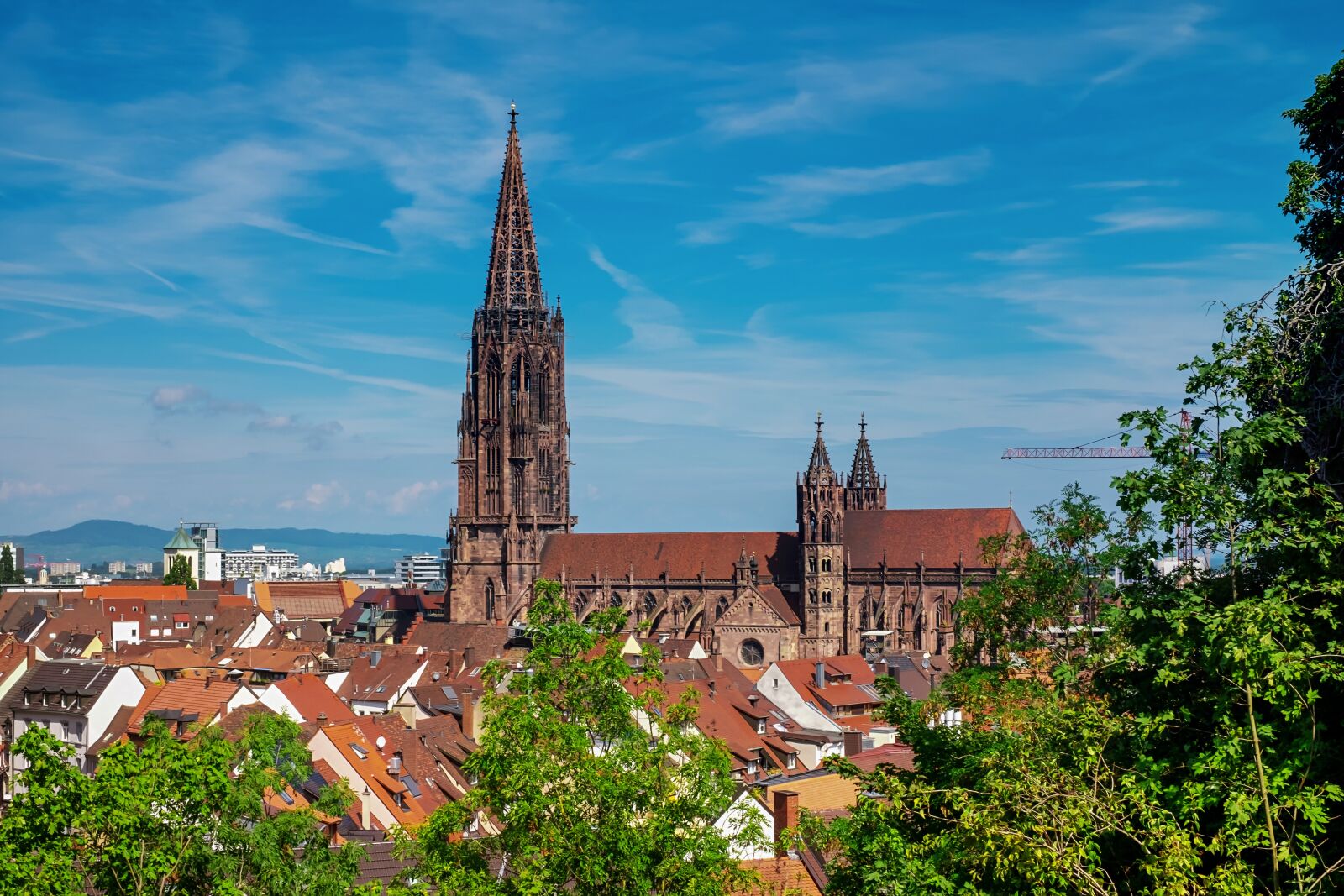 Fujifilm X-T10 + Fujifilm XF 35mm F1.4 R sample photo. Freiburg, city, münster photography