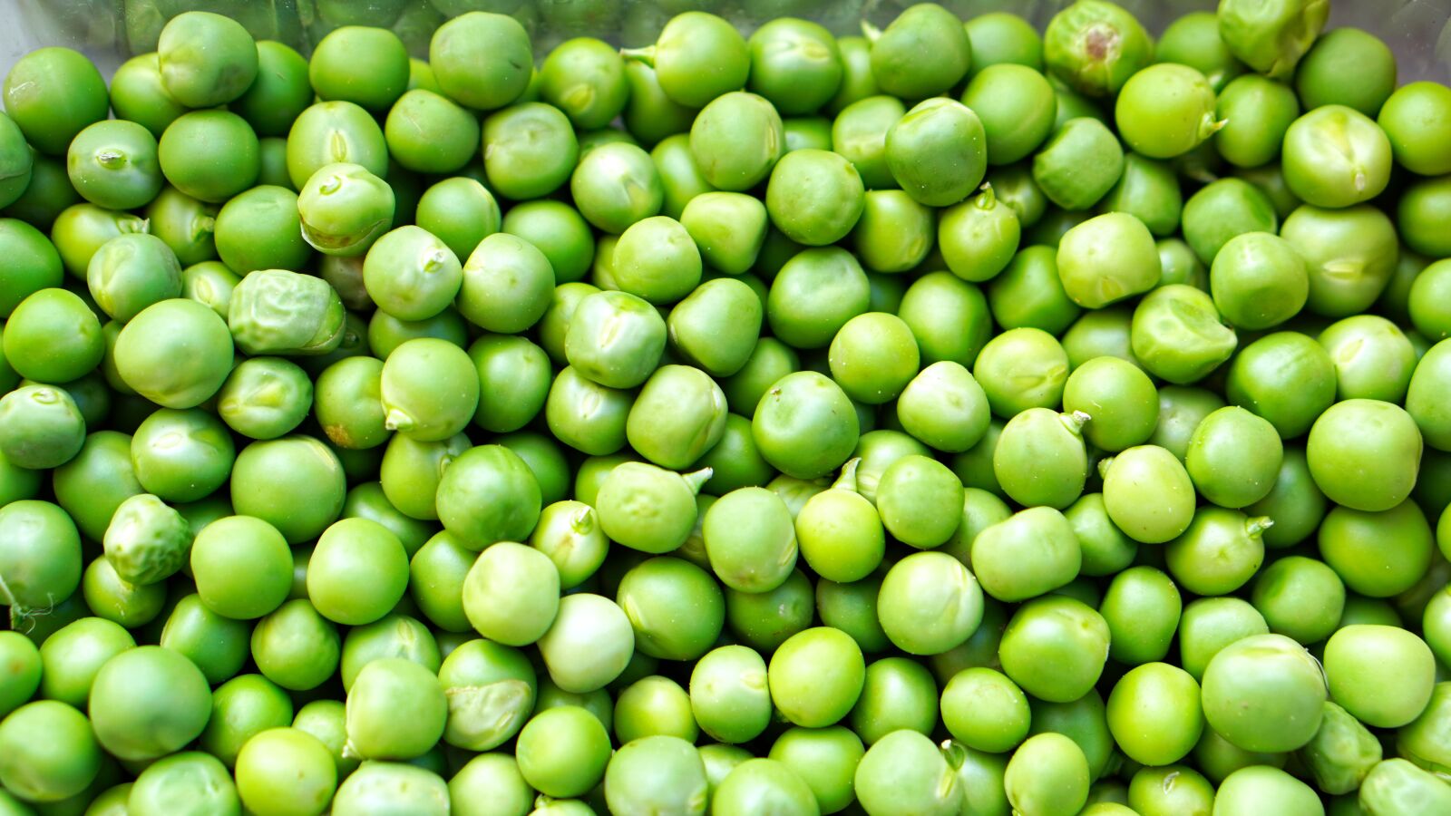 E 50mm F1.8 OSS sample photo. Peas, ripe, fresh photography