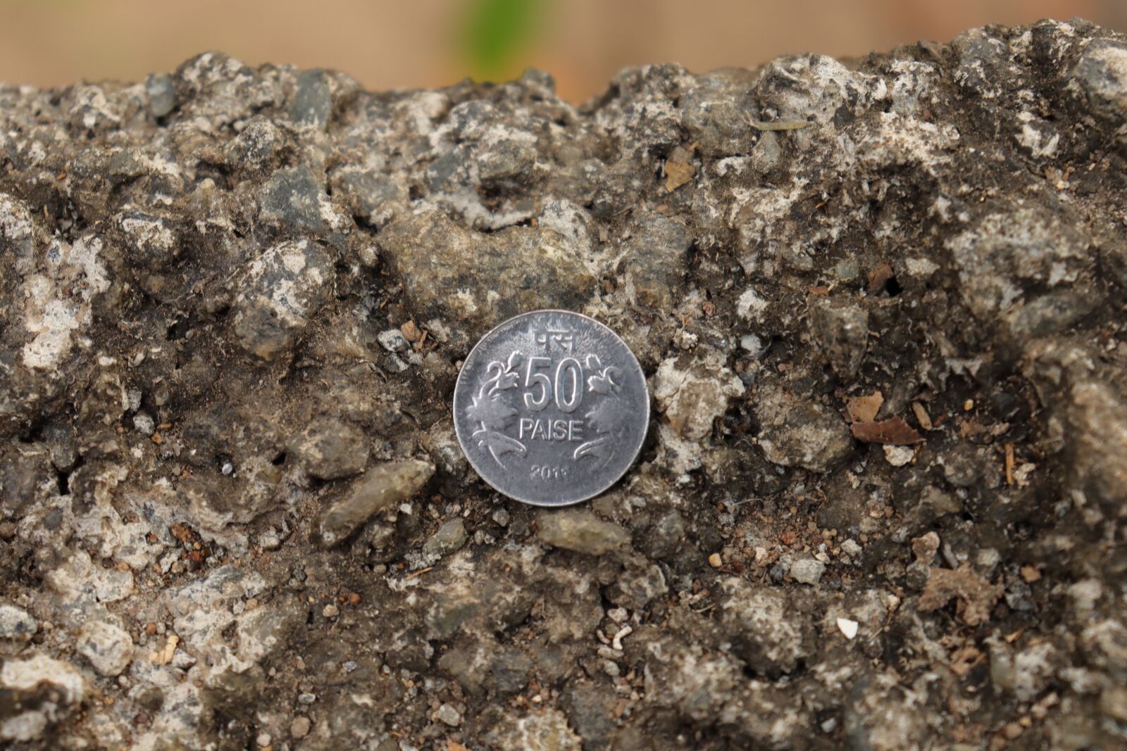 Canon EOS 250D (EOS Rebel SL3 / EOS Kiss X10 / EOS 200D II) sample photo. Coin, india, indian coin photography