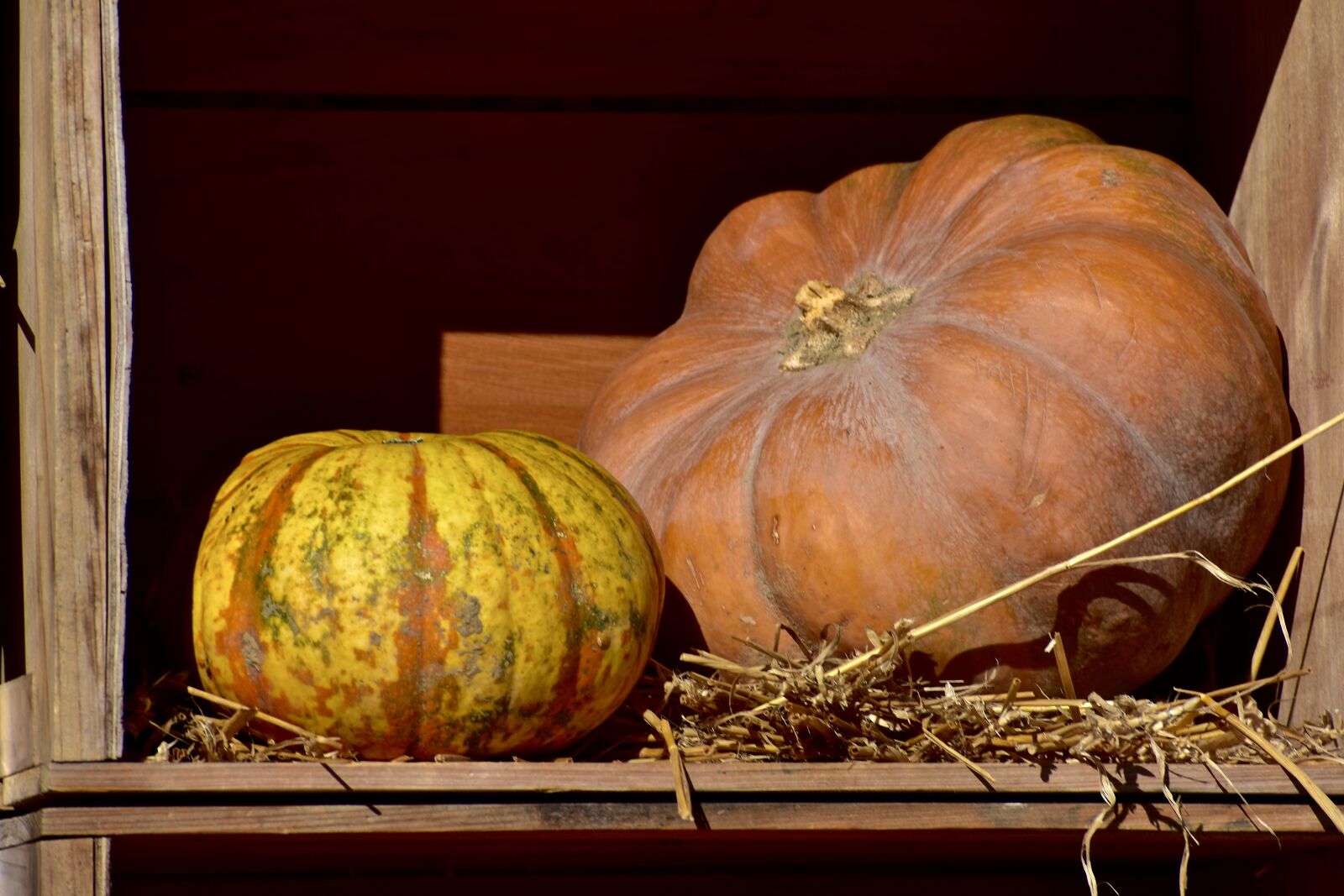 Nikon D3400 sample photo. Squash, pumpkin, hay photography