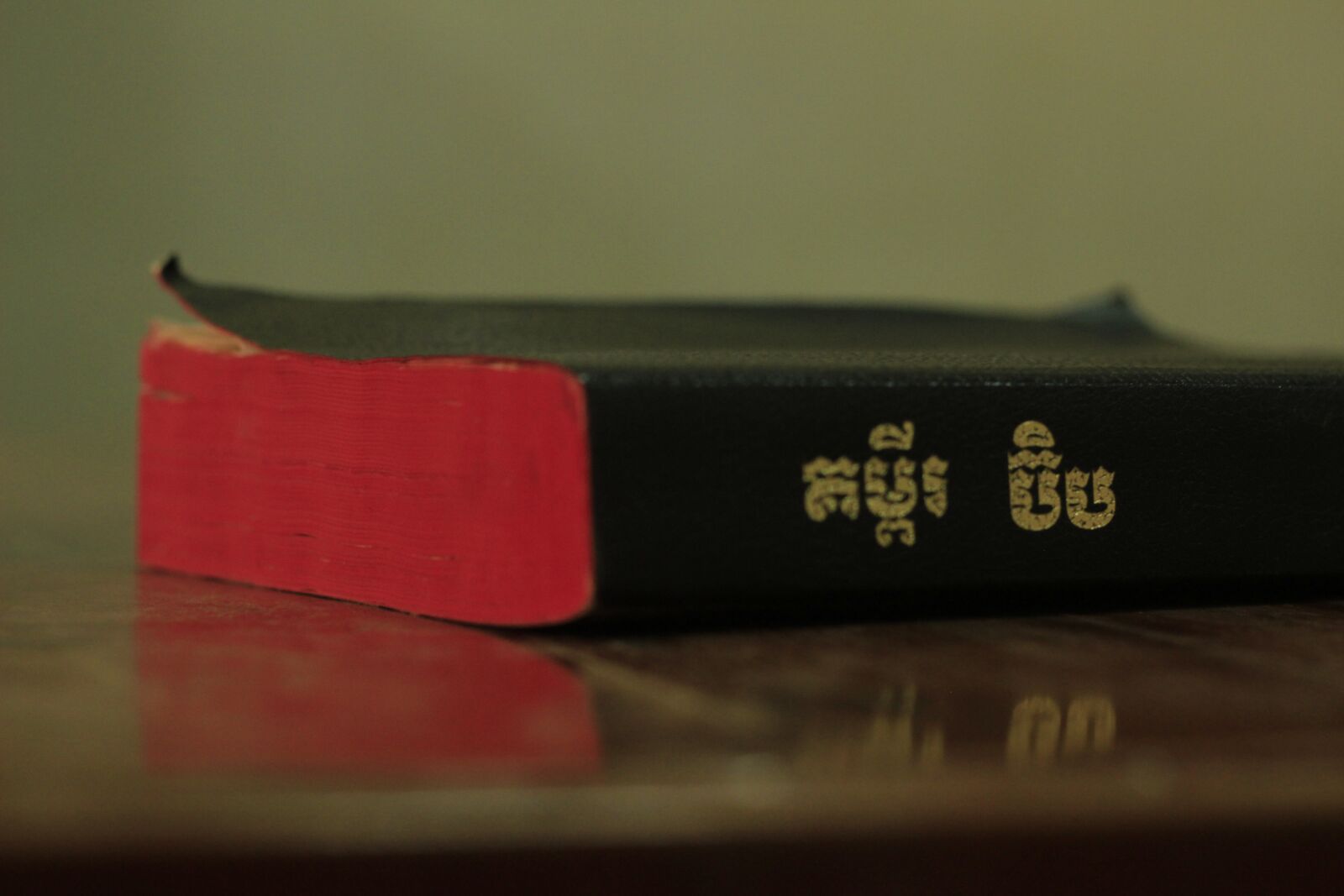 Canon EOS 600D (Rebel EOS T3i / EOS Kiss X5) + Canon EF 50mm F1.8 II sample photo. Holy bible, khmer bible photography