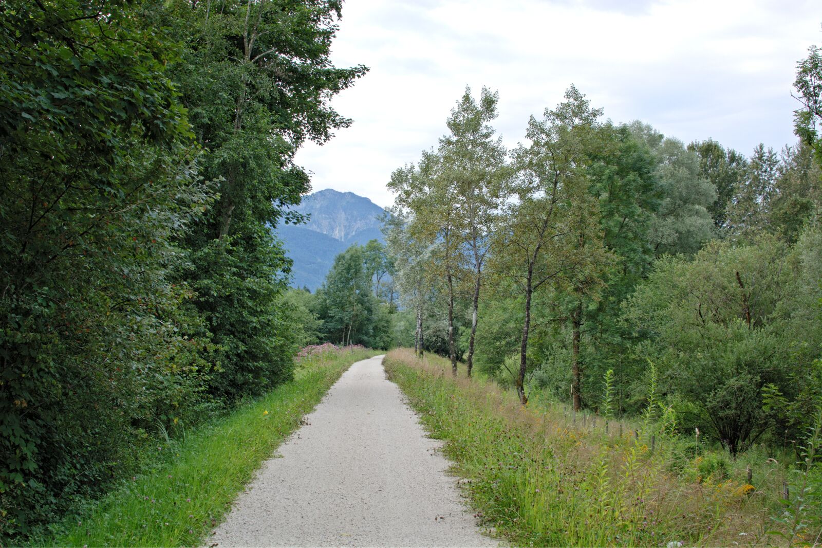 Nikon D7100 sample photo. Away, lane, landscape way photography