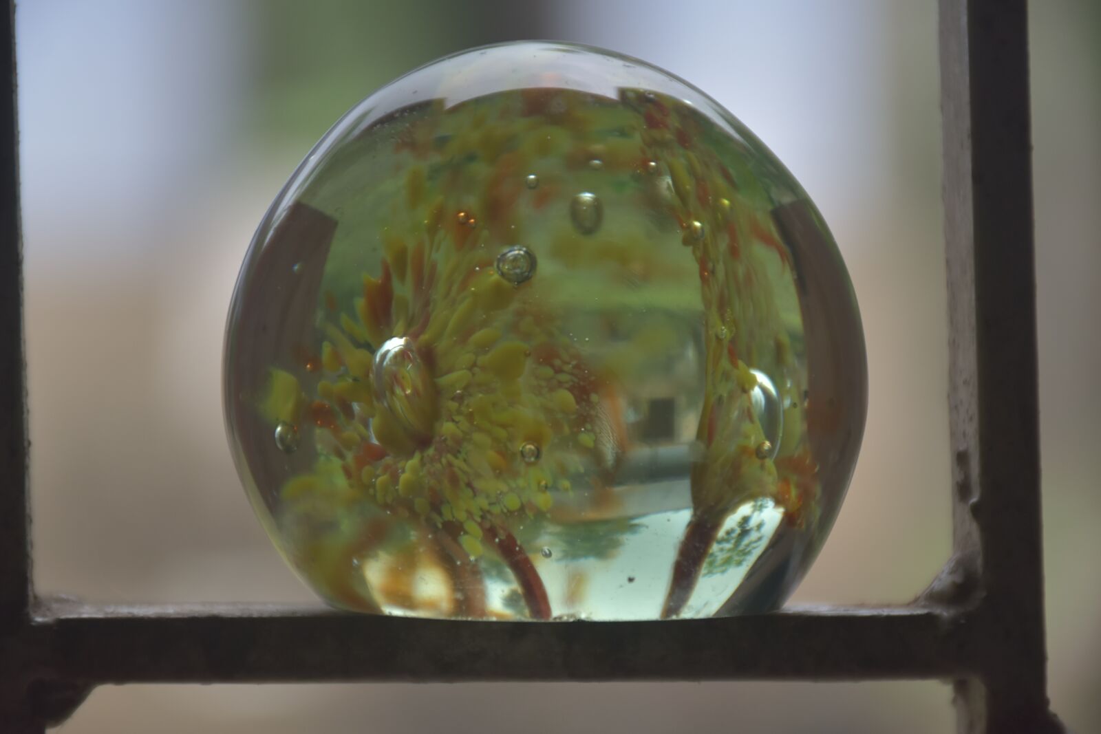 Nikon D5600 sample photo. Glass, share, glass sphere photography