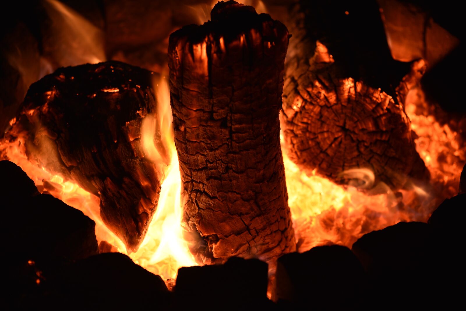 Nikon D750 sample photo. Fire, flame, hot photography