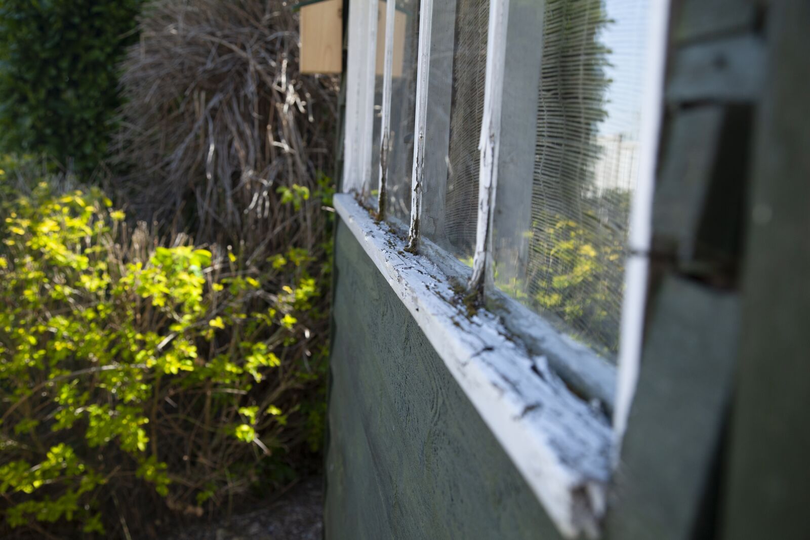 Canon EOS 5D Mark II sample photo. Garden, shed, hut photography