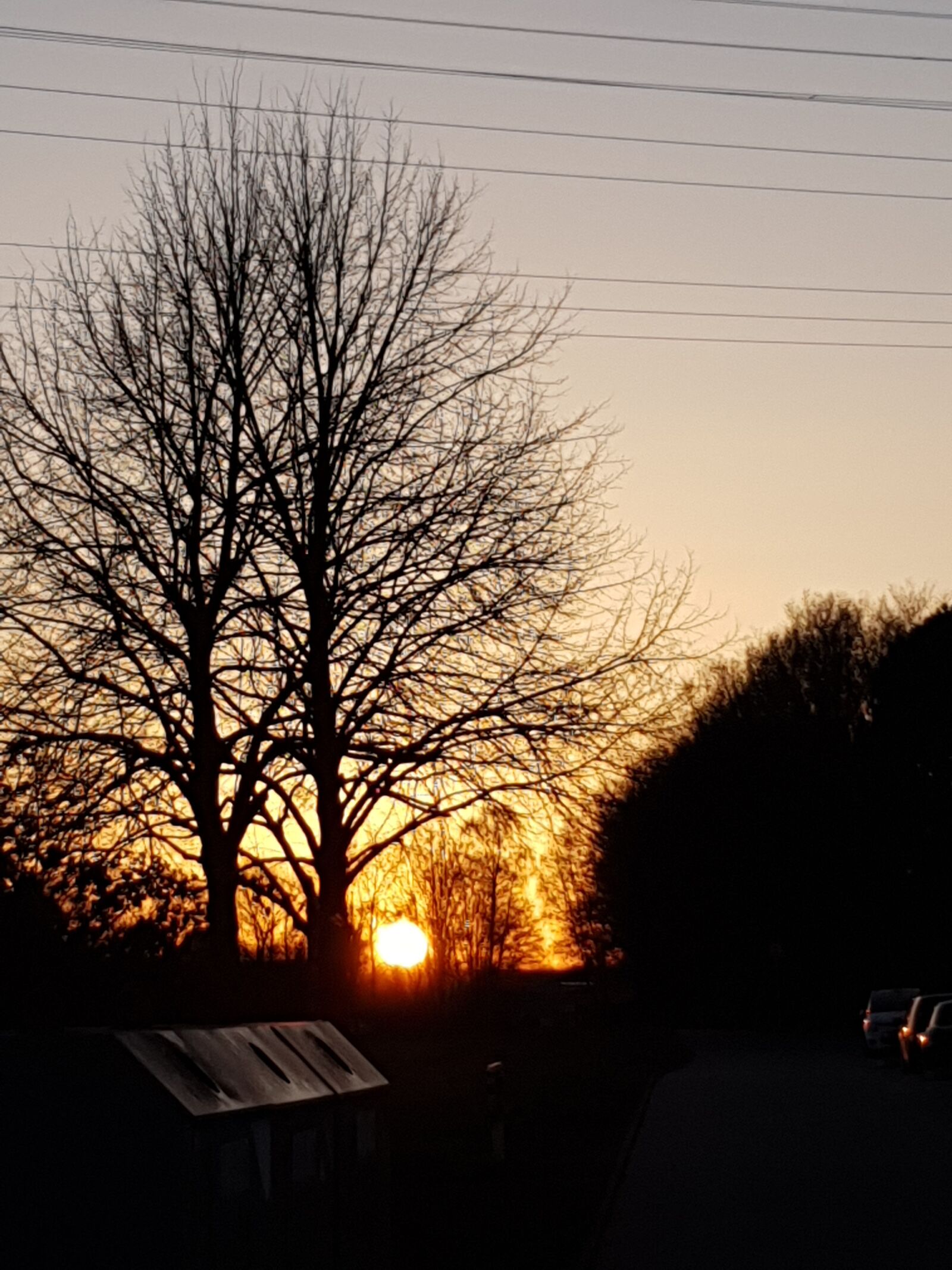 Samsung Galaxy S10 sample photo. Sunset, trees, evening photography