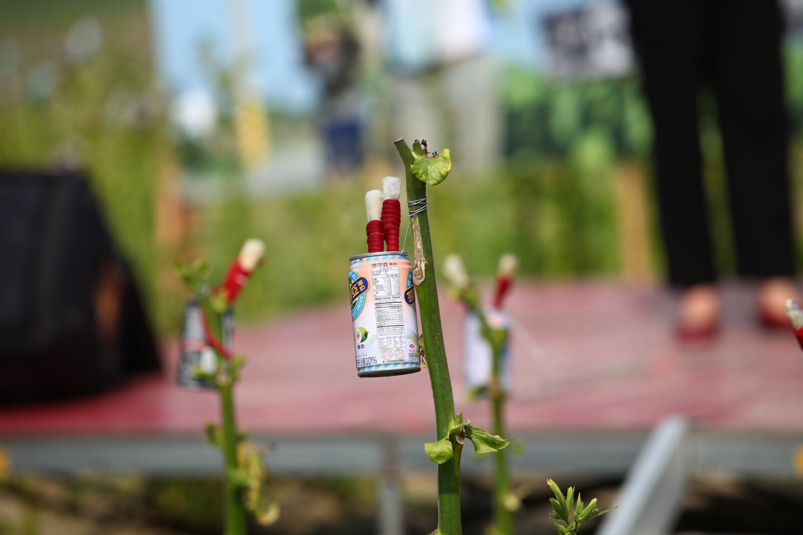 Canon EOS 5D Mark II sample photo. Tobacco, tobacco the last photography