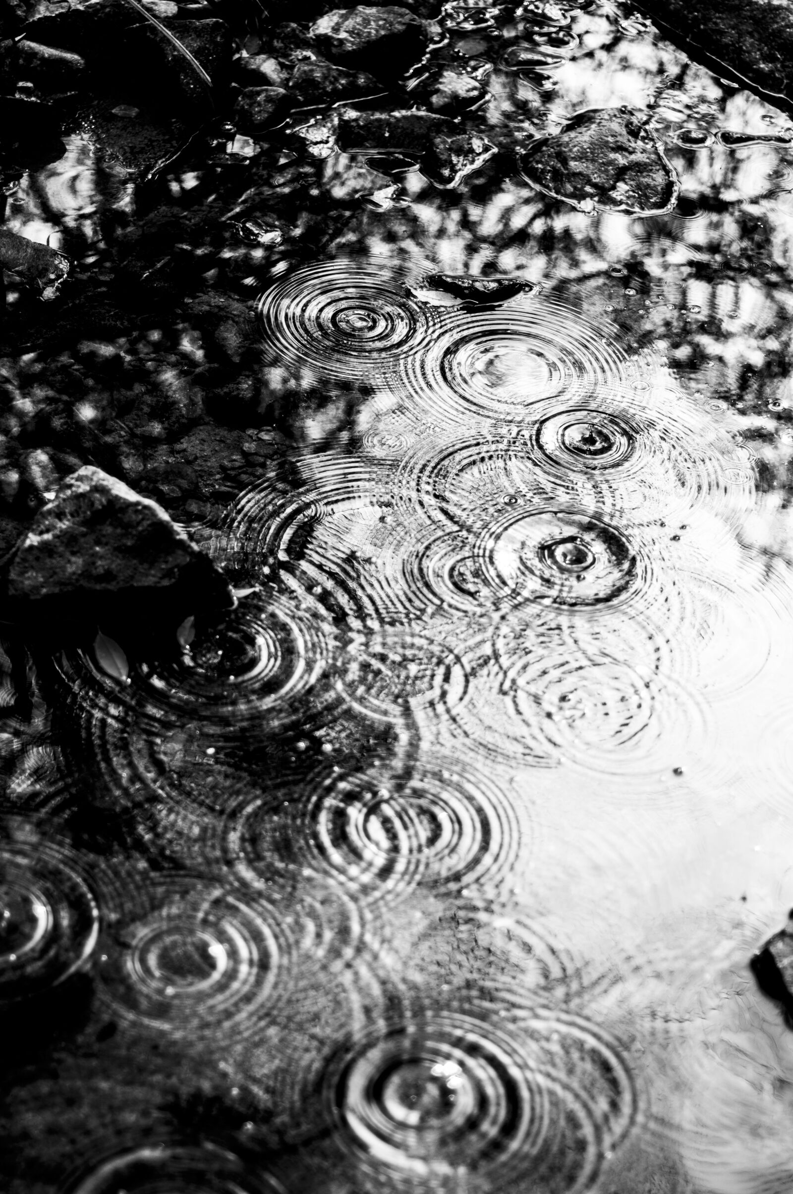 Nikon D90 sample photo. 简约, 黑白, 自然 photography