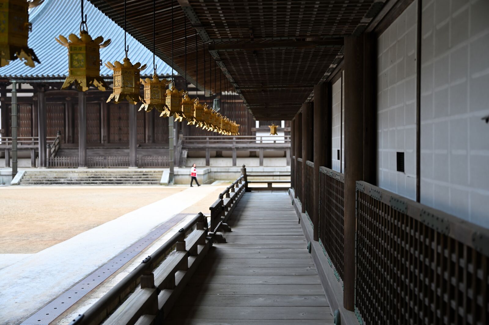 Nikon Z6 sample photo. World heritage site, temple photography