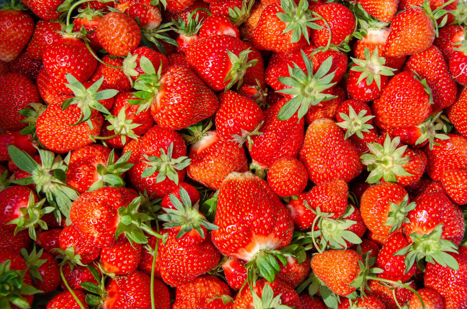 Nikon D7000 sample photo. Strawberries, sweet, red photography