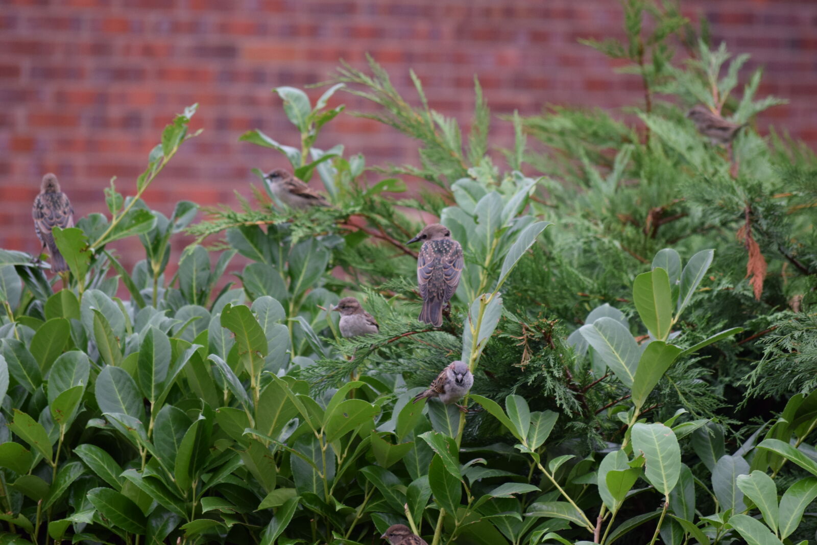 Nikon D3300 sample photo