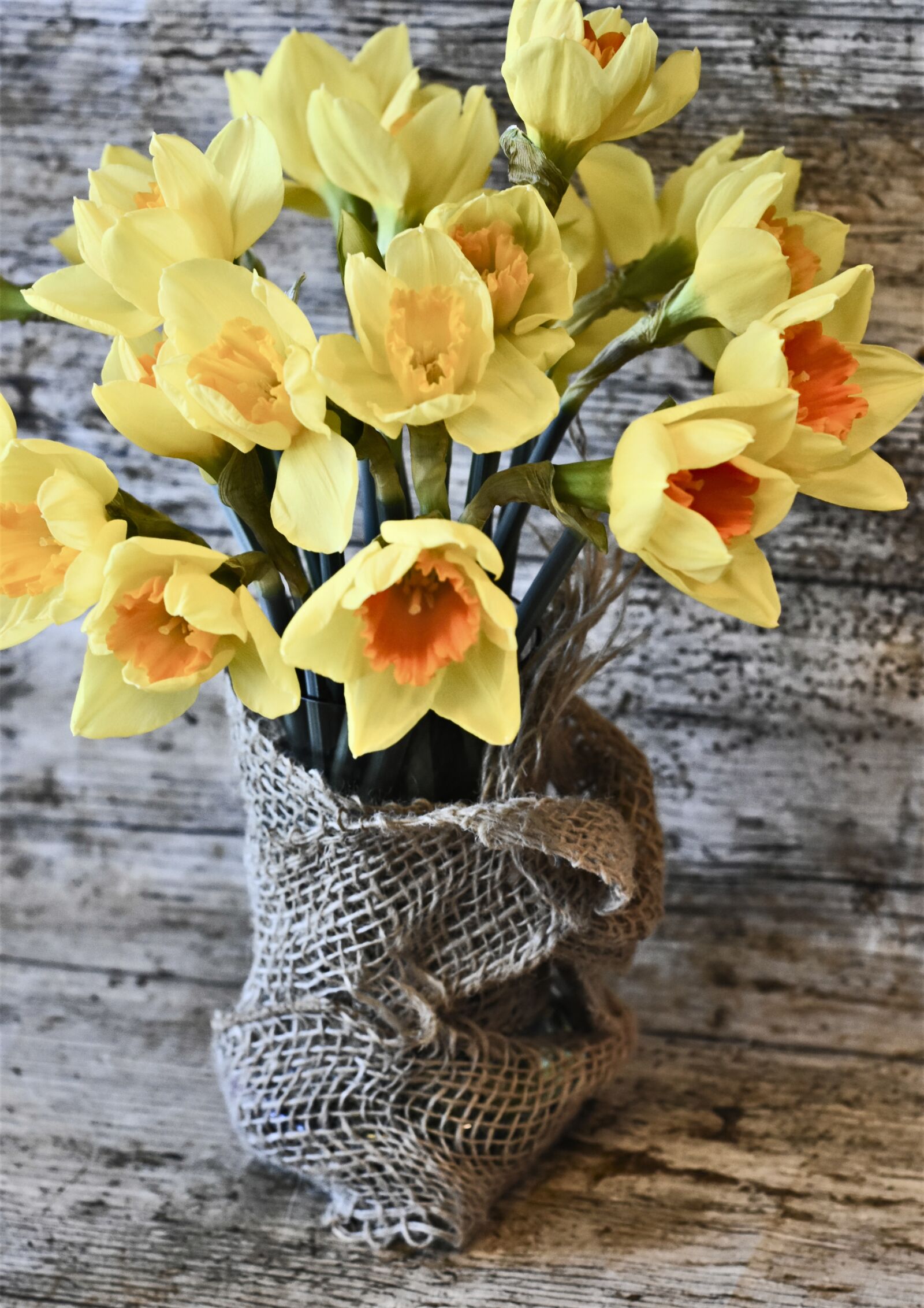 Nikon D7200 sample photo. Daffodils, flowers, yellow photography
