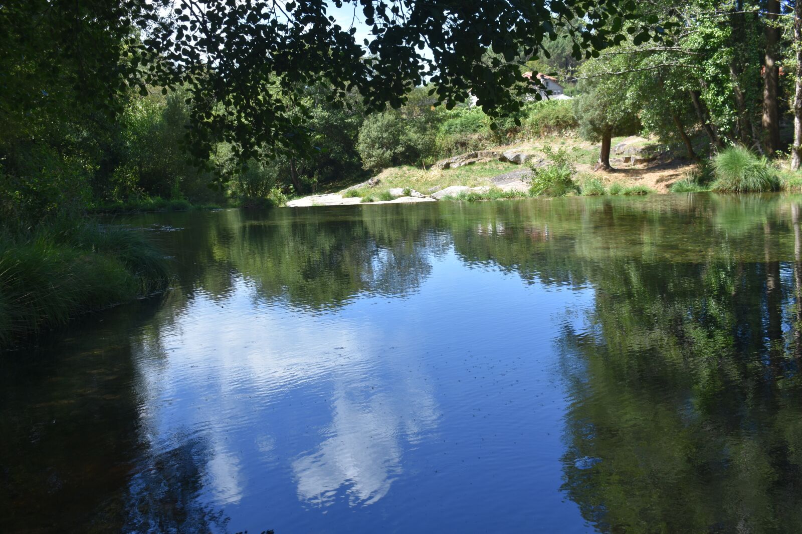 Nikon D3400 sample photo. Nature, mountain, forest photography