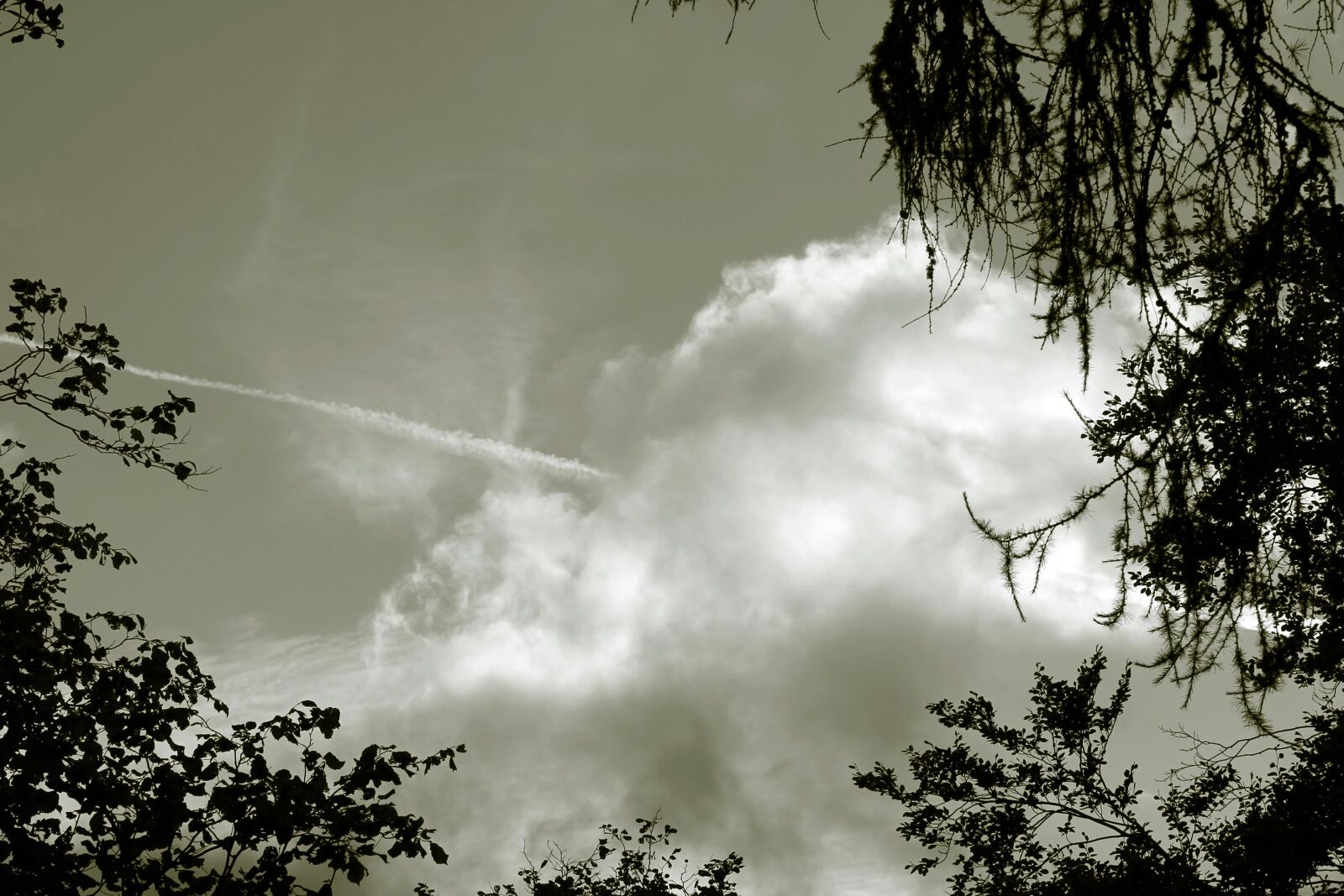 Canon EOS 1100D (EOS Rebel T3 / EOS Kiss X50) sample photo. Sky, cloud, clouds photography