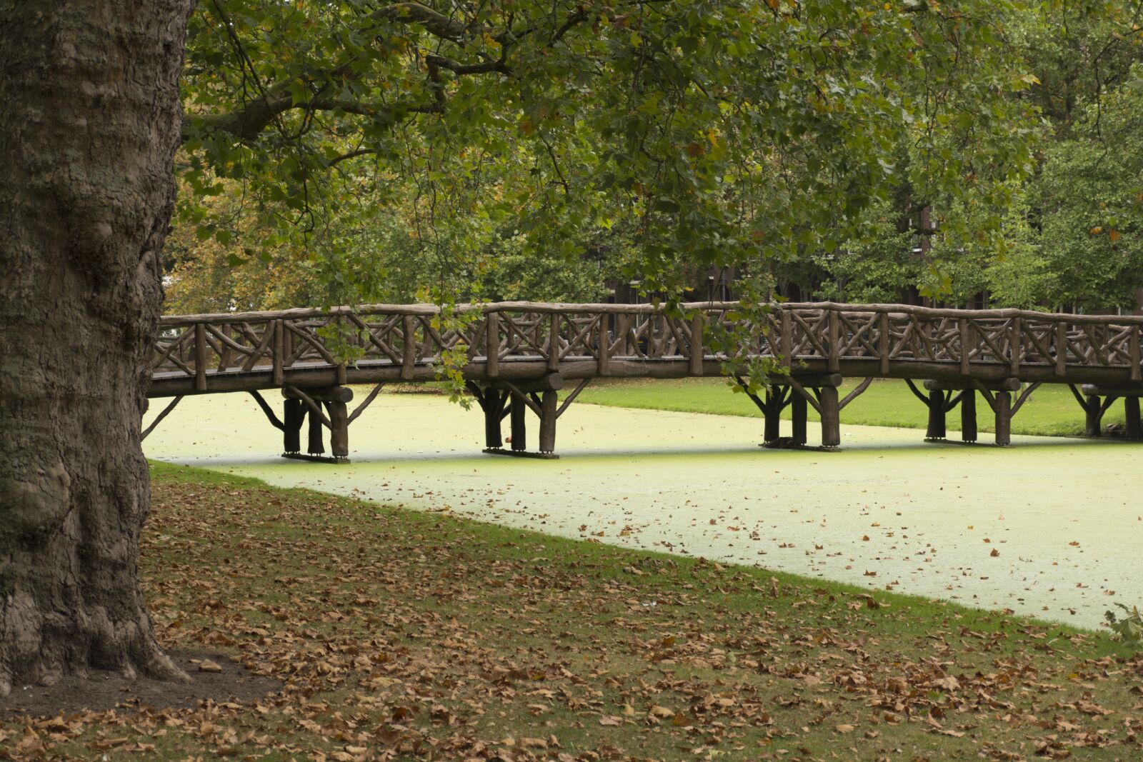 Nikon D5200 sample photo. Street scene, bridge, netherlands photography
