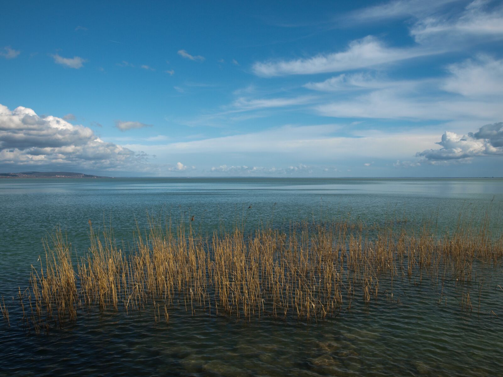 Olympus E-3 sample photo. March, reed, lake balaton photography