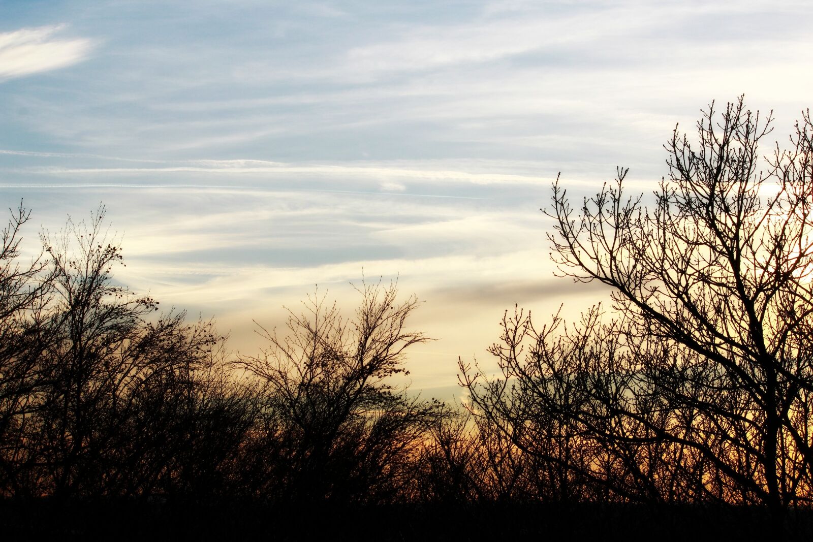 Canon EOS 1200D (EOS Rebel T5 / EOS Kiss X70 / EOS Hi) sample photo. Landscape, trees, silhouette photography