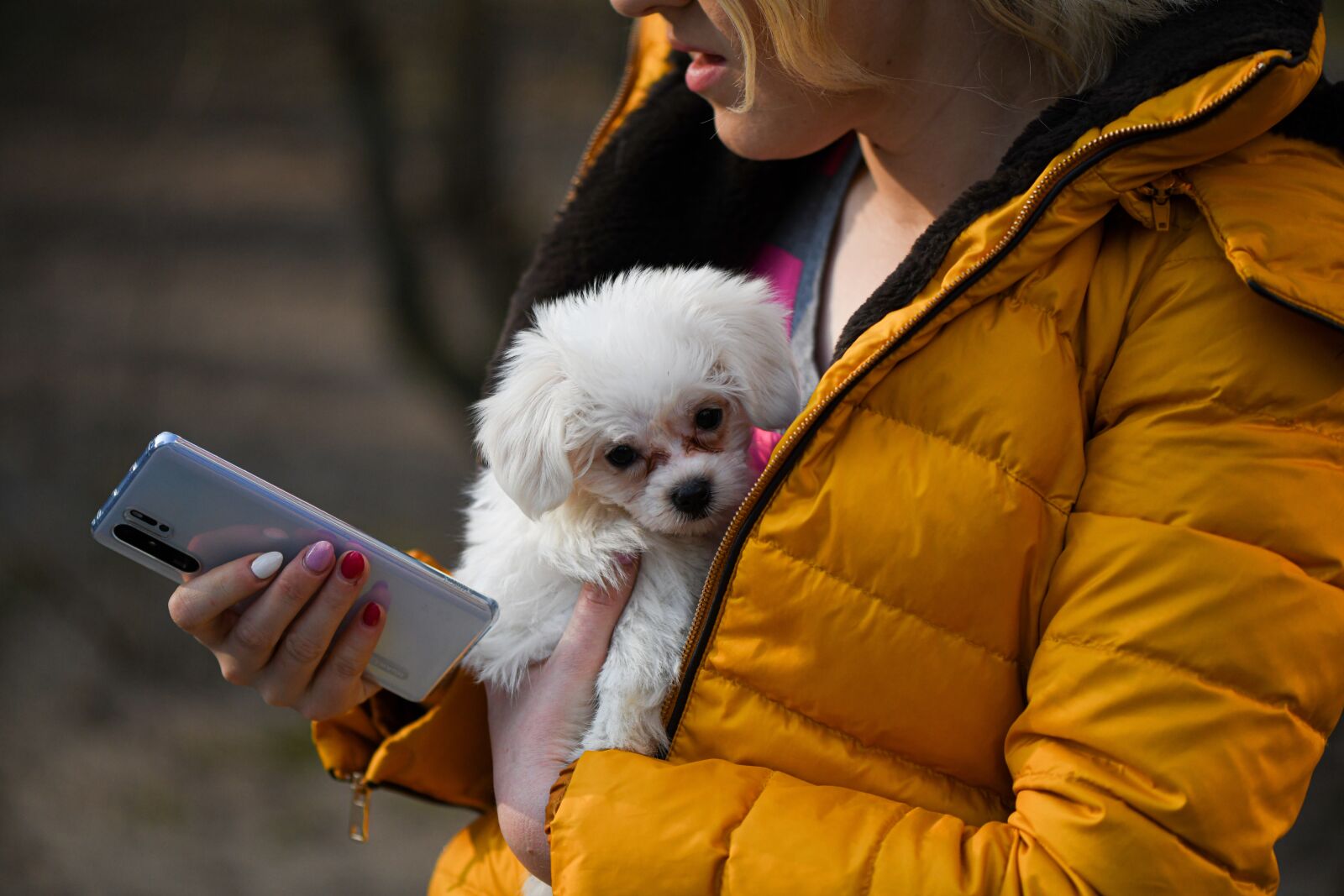 Nikon D850 sample photo. Mobile phone, dog, smartphone photography