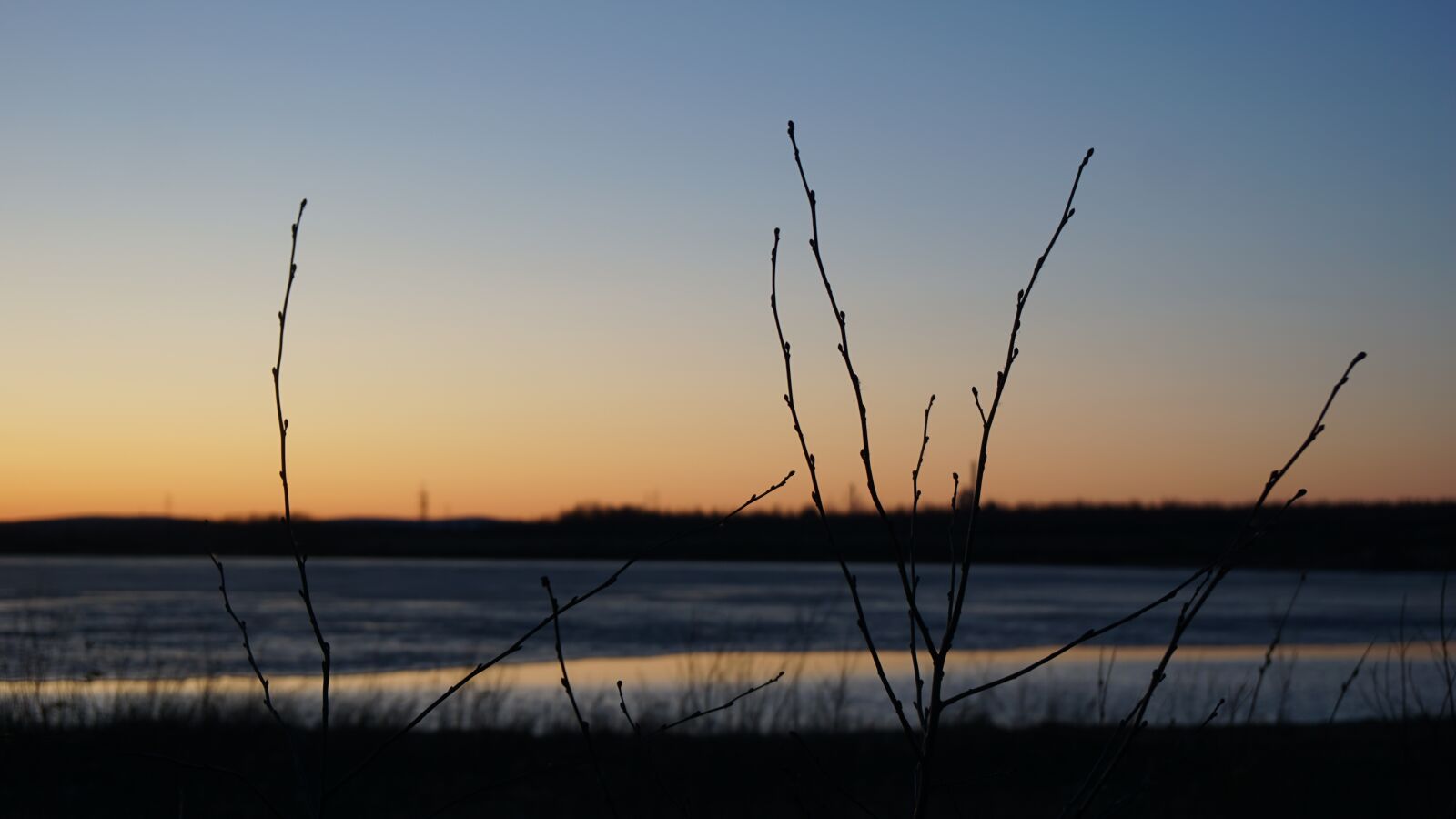 Sony a6000 + Sony Vario-Tessar T* E 16-70mm F4 ZA OSS sample photo. Branch, sunset, russia photography