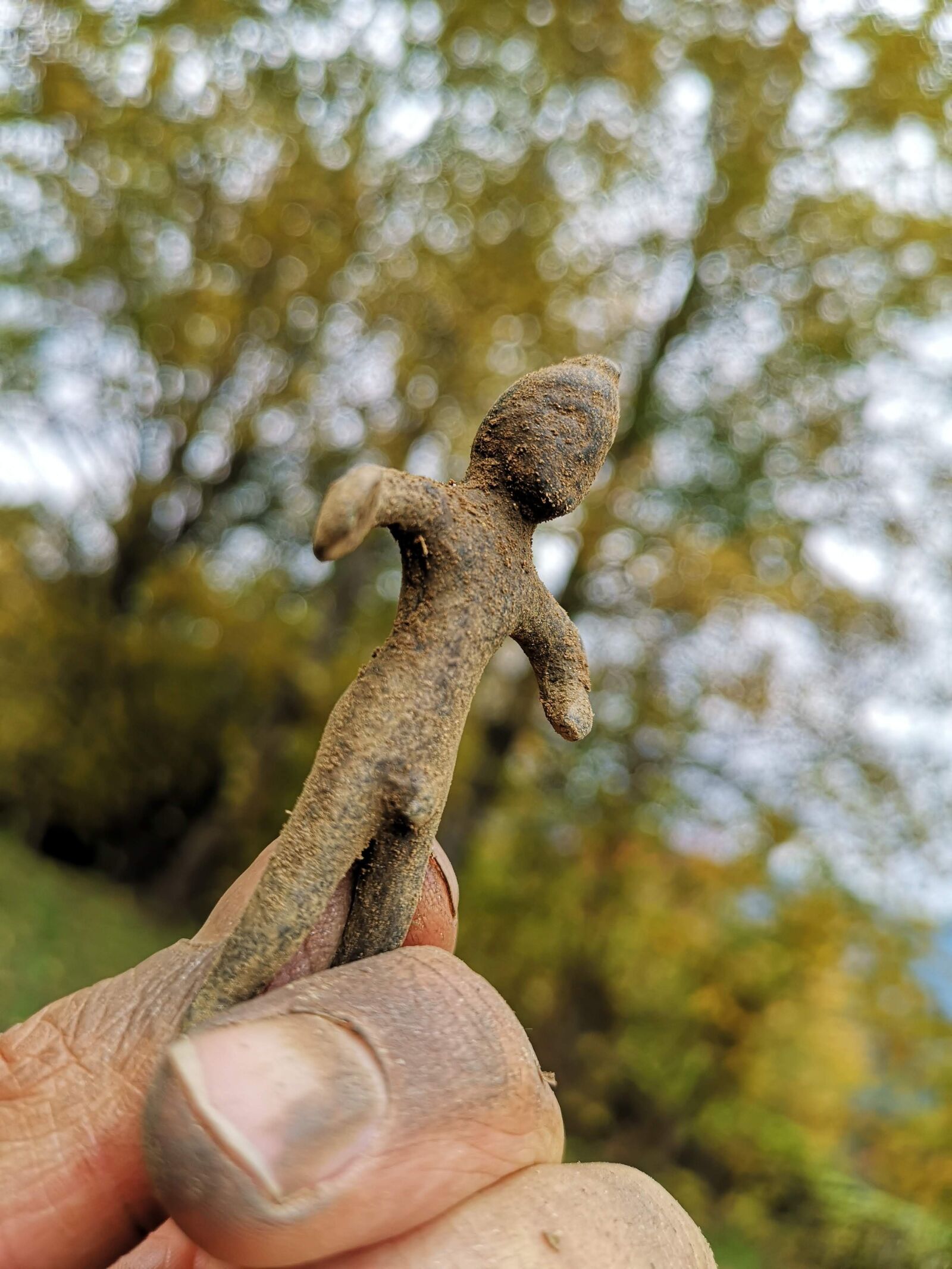 HUAWEI CLT-L09 sample photo. Bronze, discovery, history photography