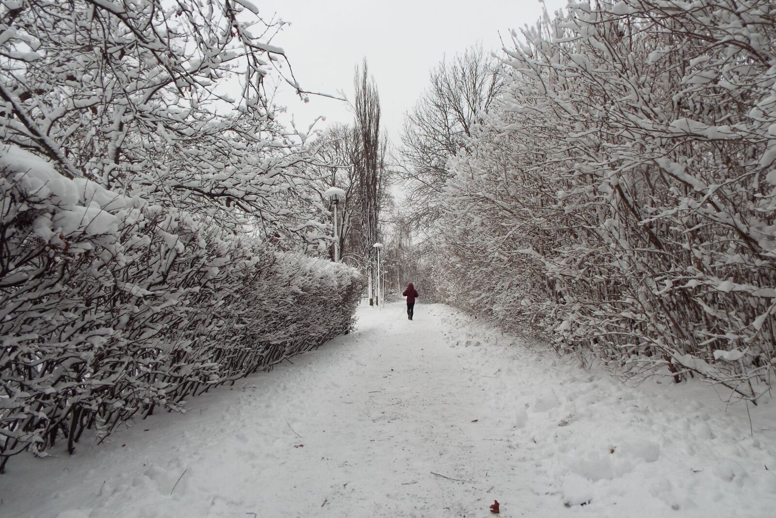 Fujifilm FinePix S8200 sample photo. Sweden, snow, winter photography