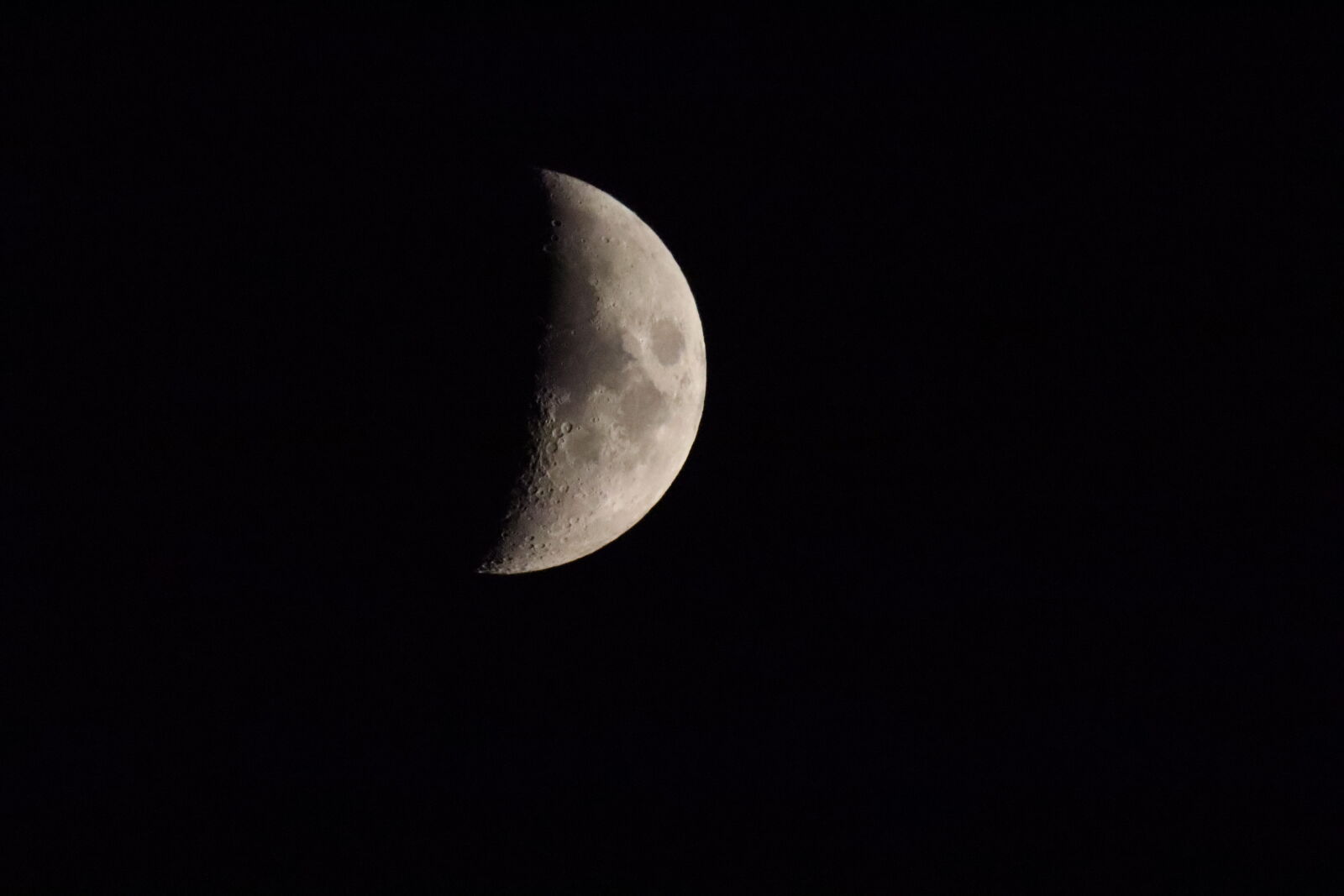 Canon EOS R100 sample photo