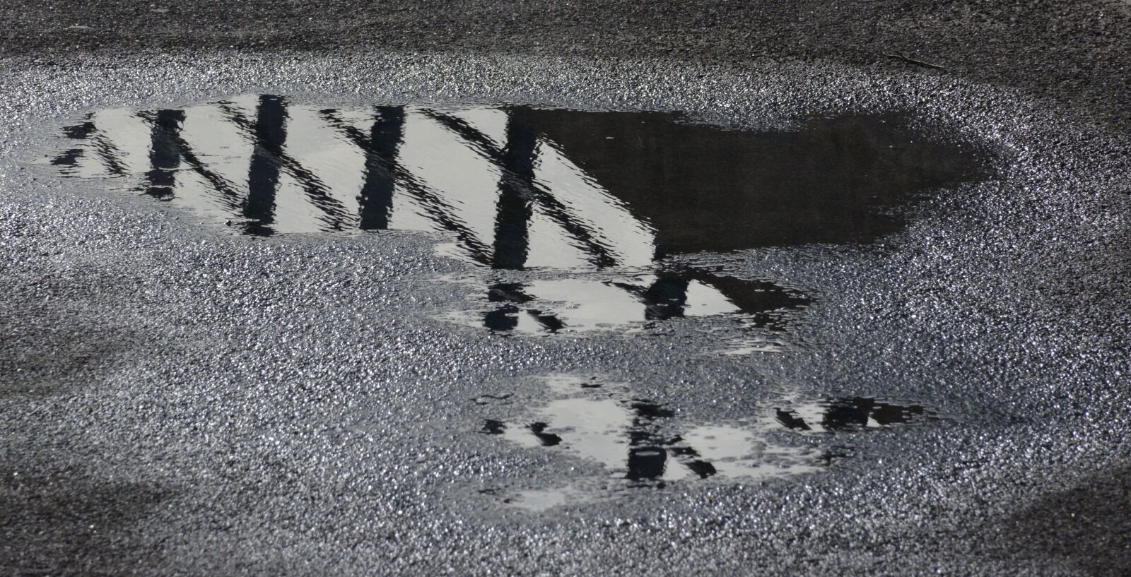 Nikon D5200 sample photo. Plas, rain, reflection photography