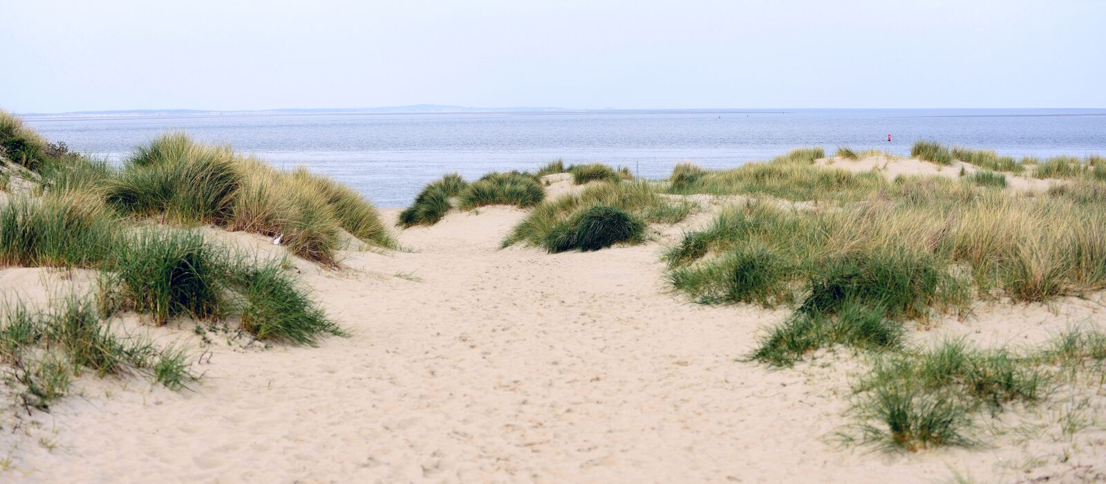 Nikon D610 sample photo. Dunes, beach, sand photography
