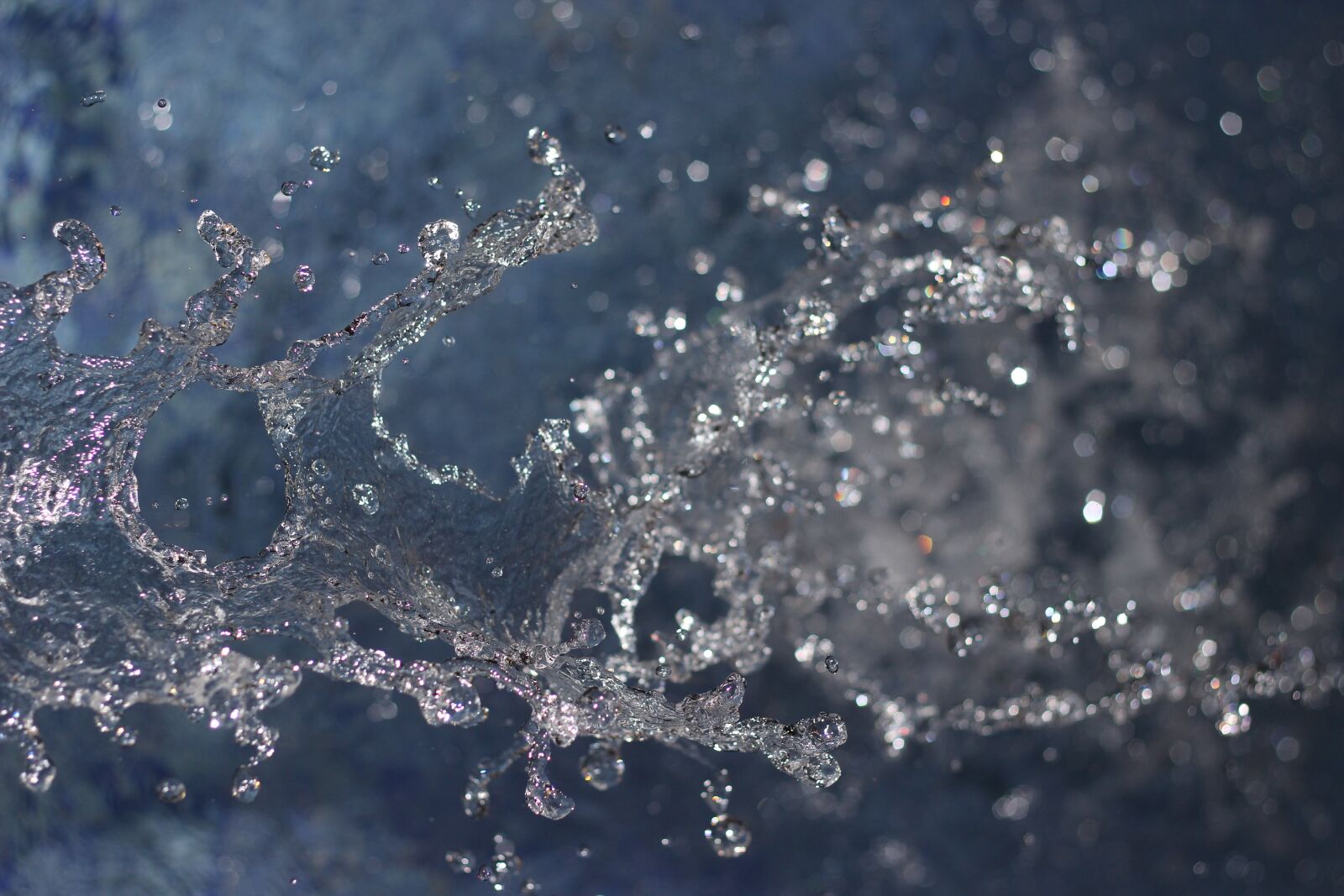 Canon EOS 600D (Rebel EOS T3i / EOS Kiss X5) + Canon EF 50mm F1.8 II sample photo. Desktop, abstract, nature photography