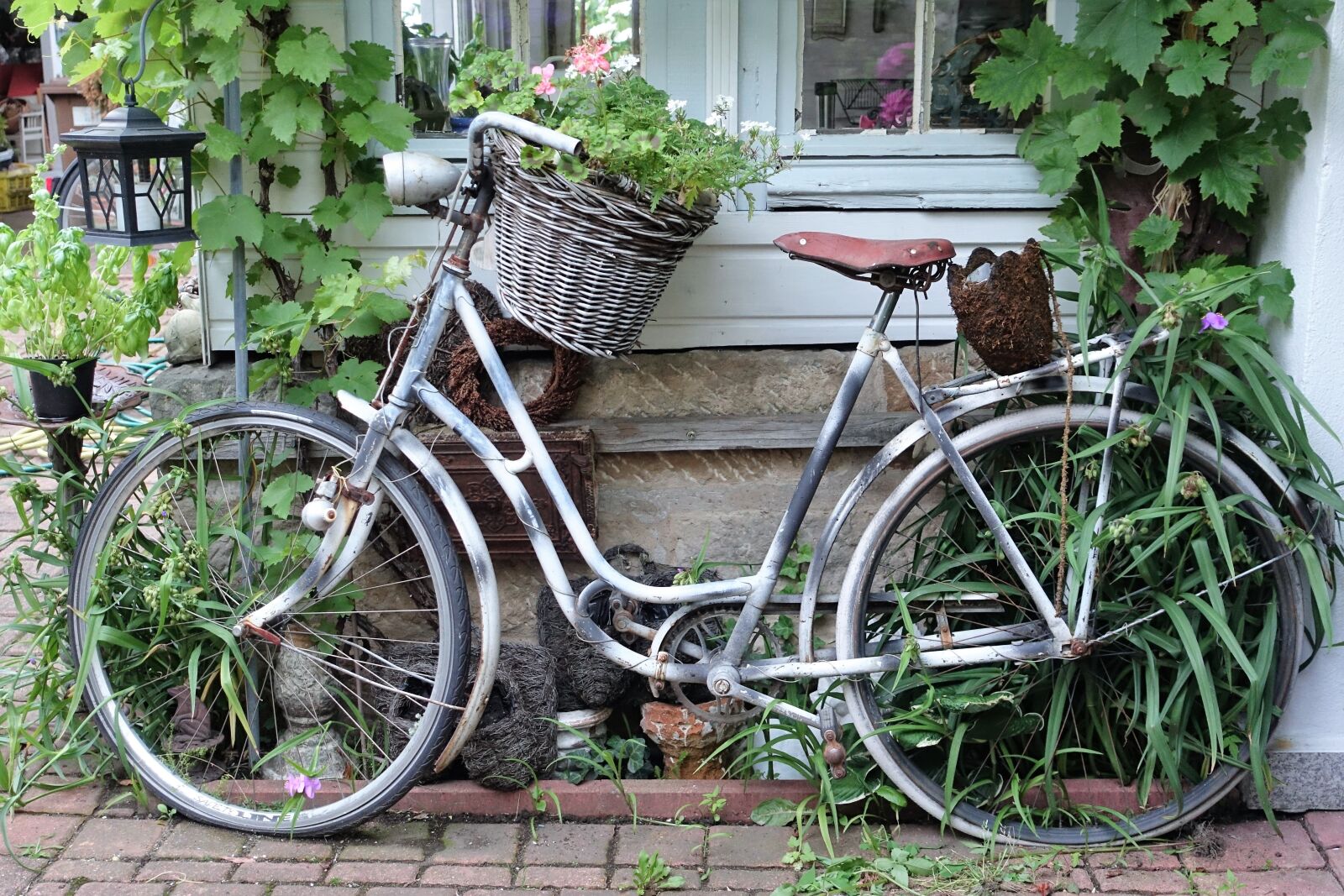 Sony Cyber-shot DSC-RX100 IV sample photo. Vintage bike, vines, germany photography