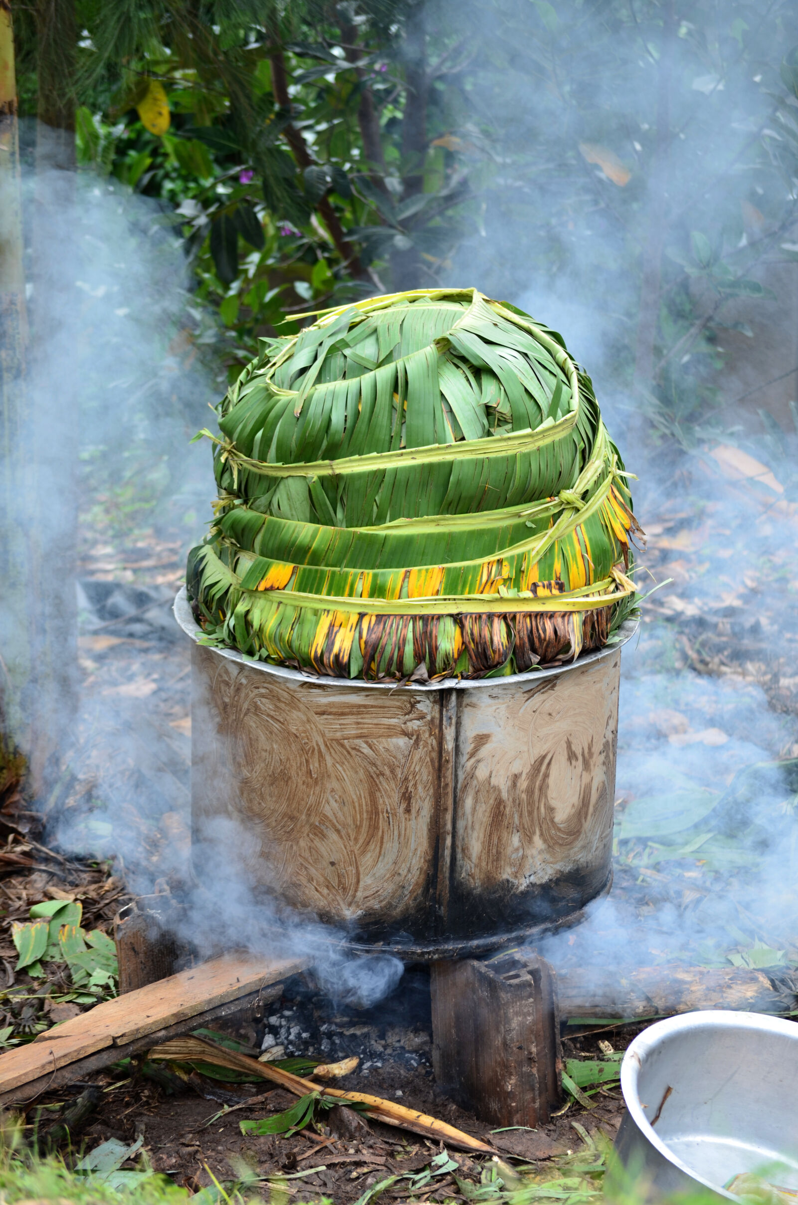Nikon D5100 sample photo. Africa, banana, leaves, bananas photography