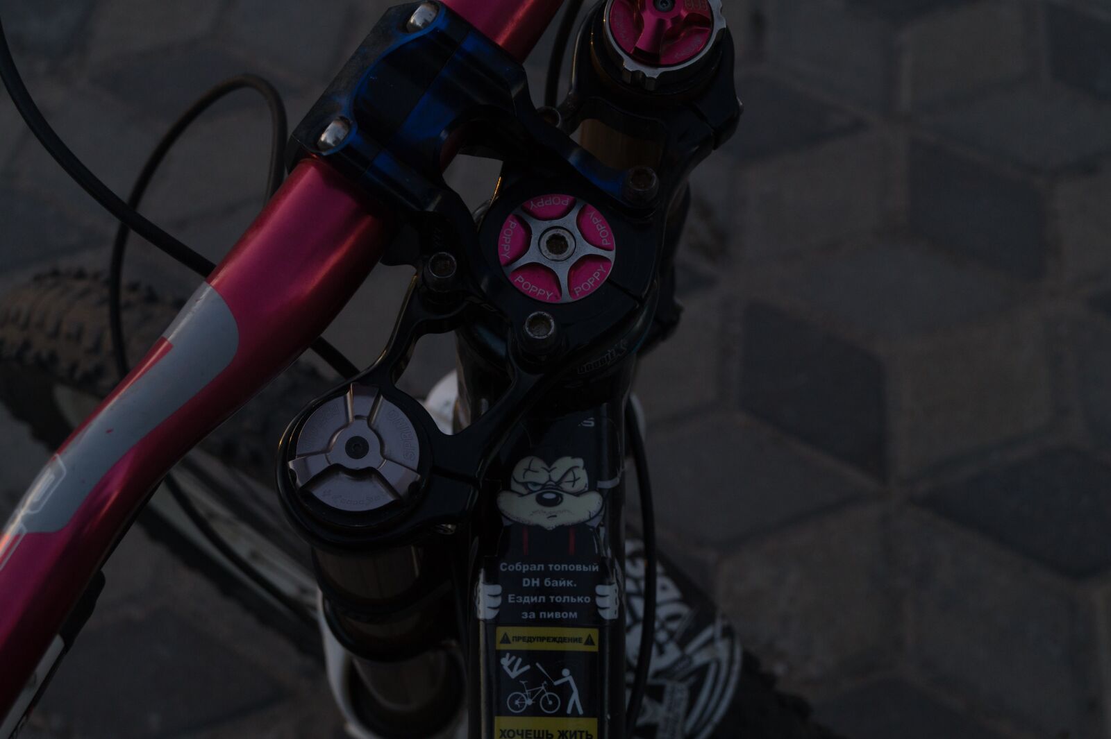 Sony DT 18-55mm F3.5-5.6 SAM II sample photo. Bike, fork, steering wheel photography
