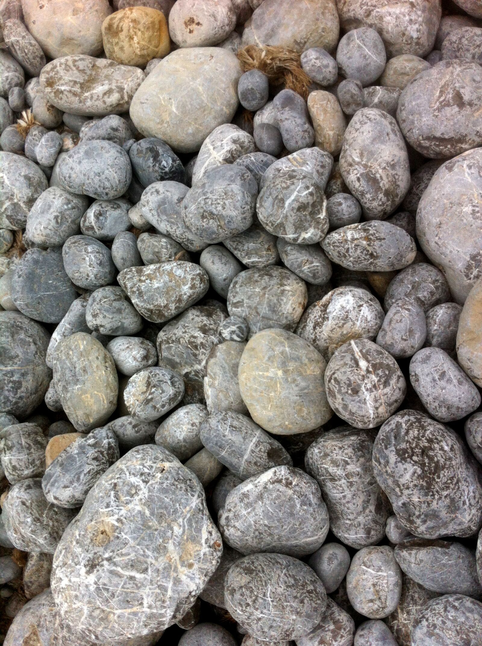 Apple iPhone 4 sample photo. Stones, pebbles, sea photography