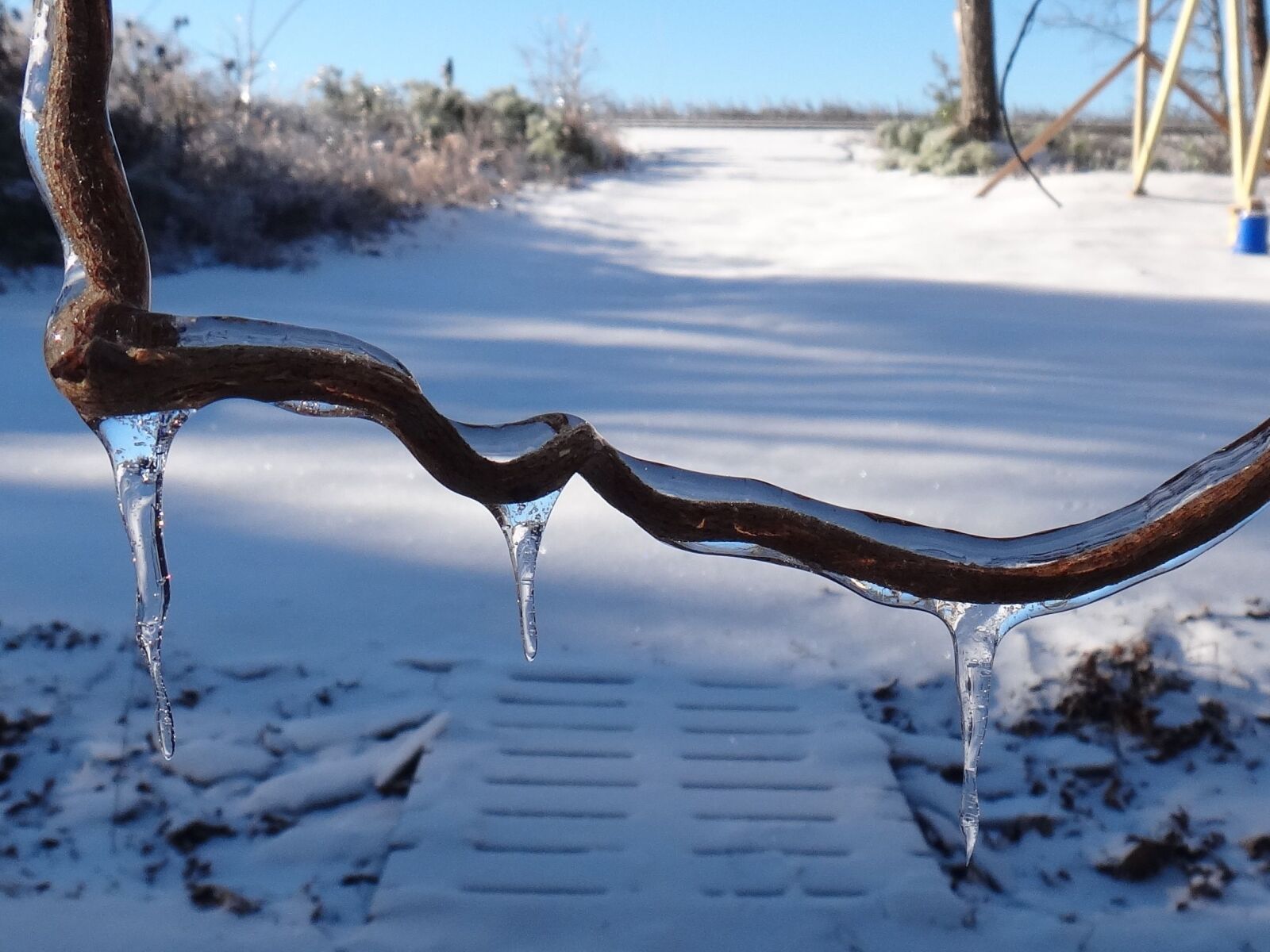 Sony DSC-TX20 sample photo. Icicle, ice, vine photography