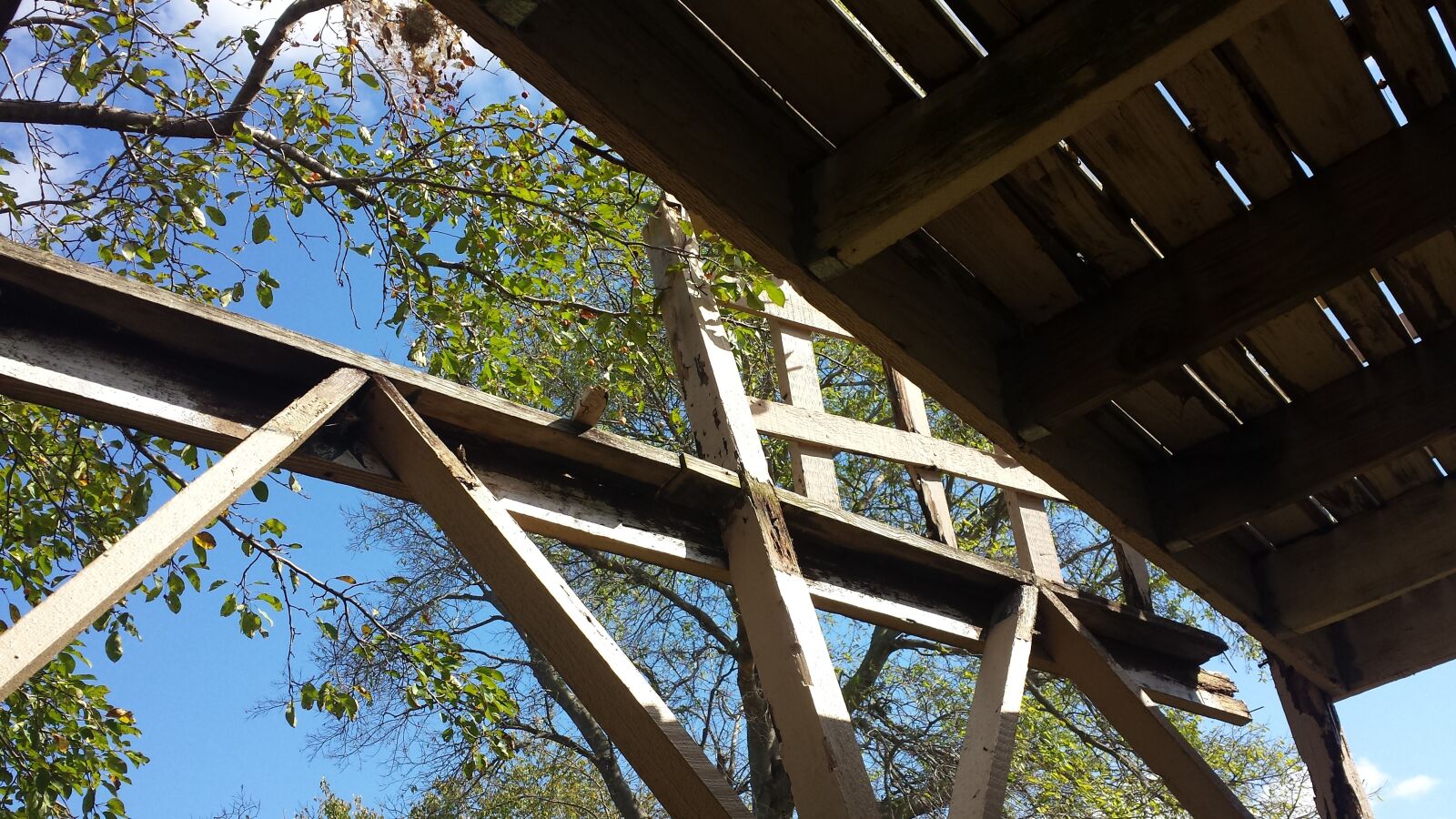 Samsung Galaxy S4 sample photo. Damaged wood deck, wood photography