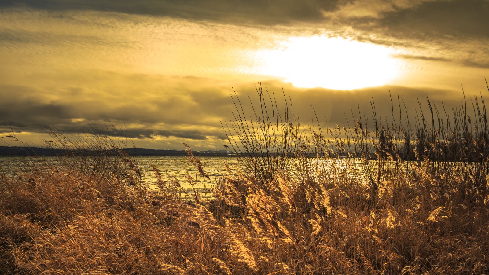 Canon EOS 650D (EOS Rebel T4i / EOS Kiss X6i) sample photo. Lake constance, immenstaad, sunset photography