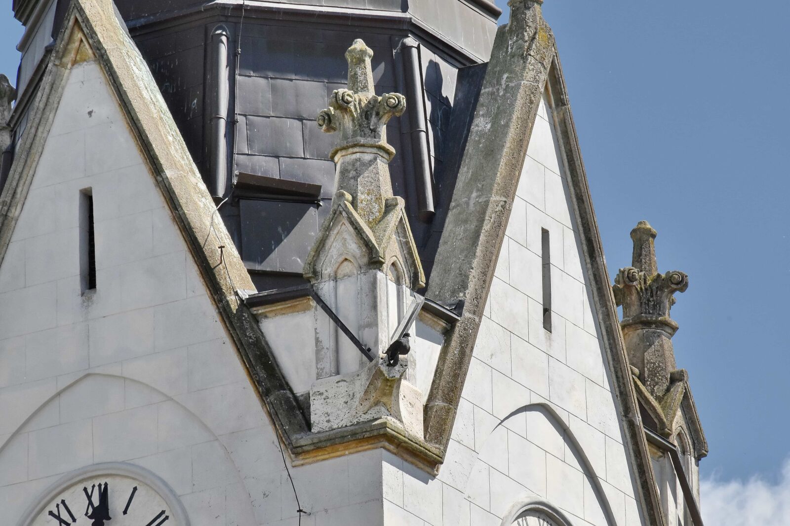 Nikon D5500 sample photo. Bird, church tower, facade photography