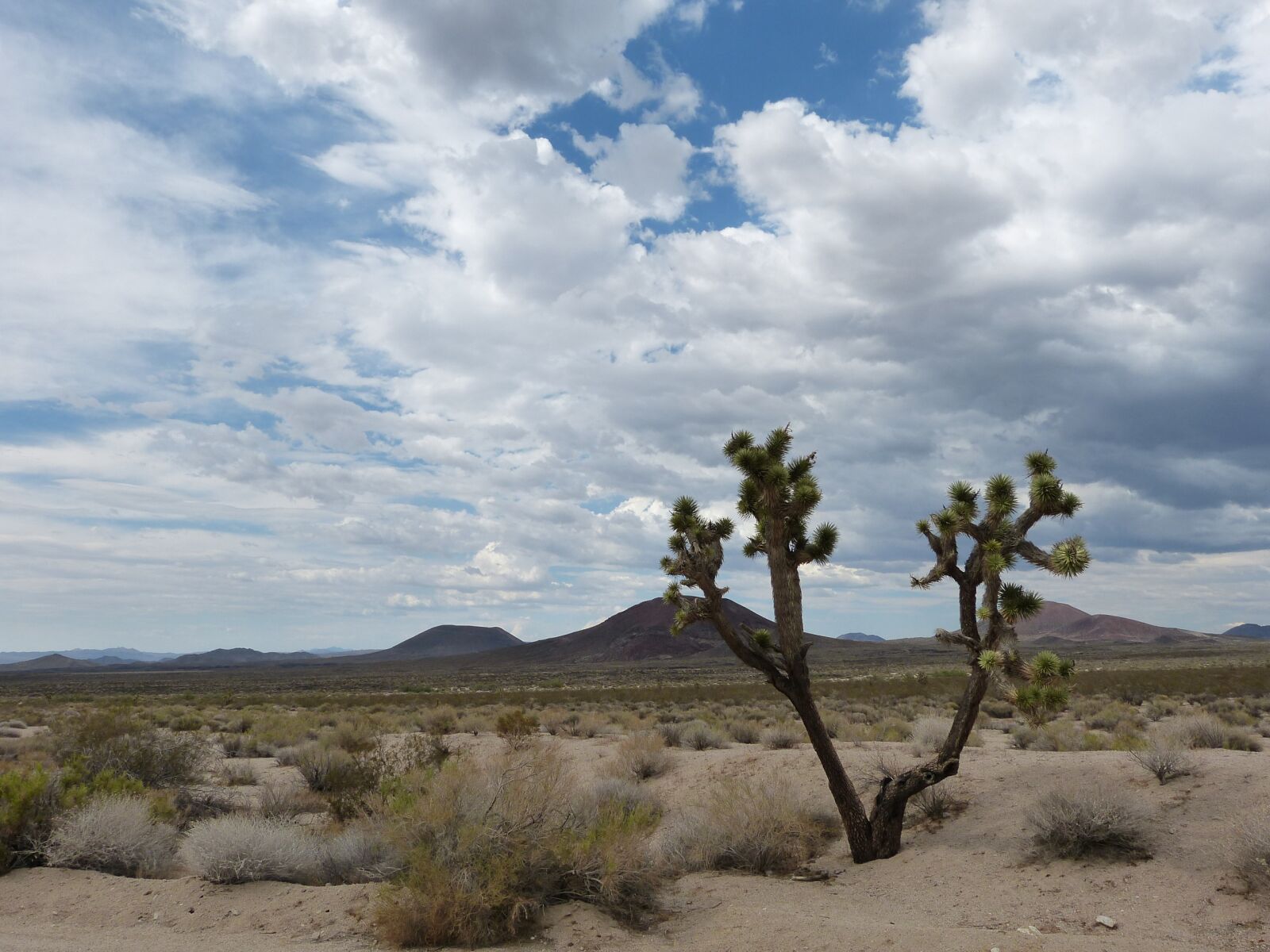 Panasonic Lumix DMC-FZ150 sample photo. Usa, nature, desert photography