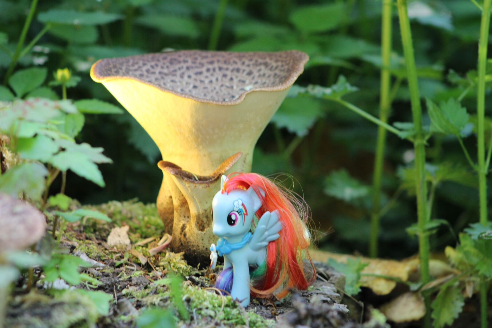 Canon EF75-300mm f/4-5.6 sample photo. My little pony, toys photography