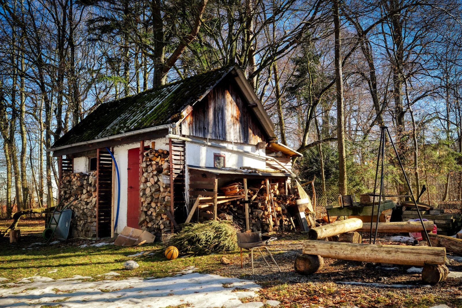 Panasonic Lumix DMC-GX8 sample photo. Hut, glade, forest photography