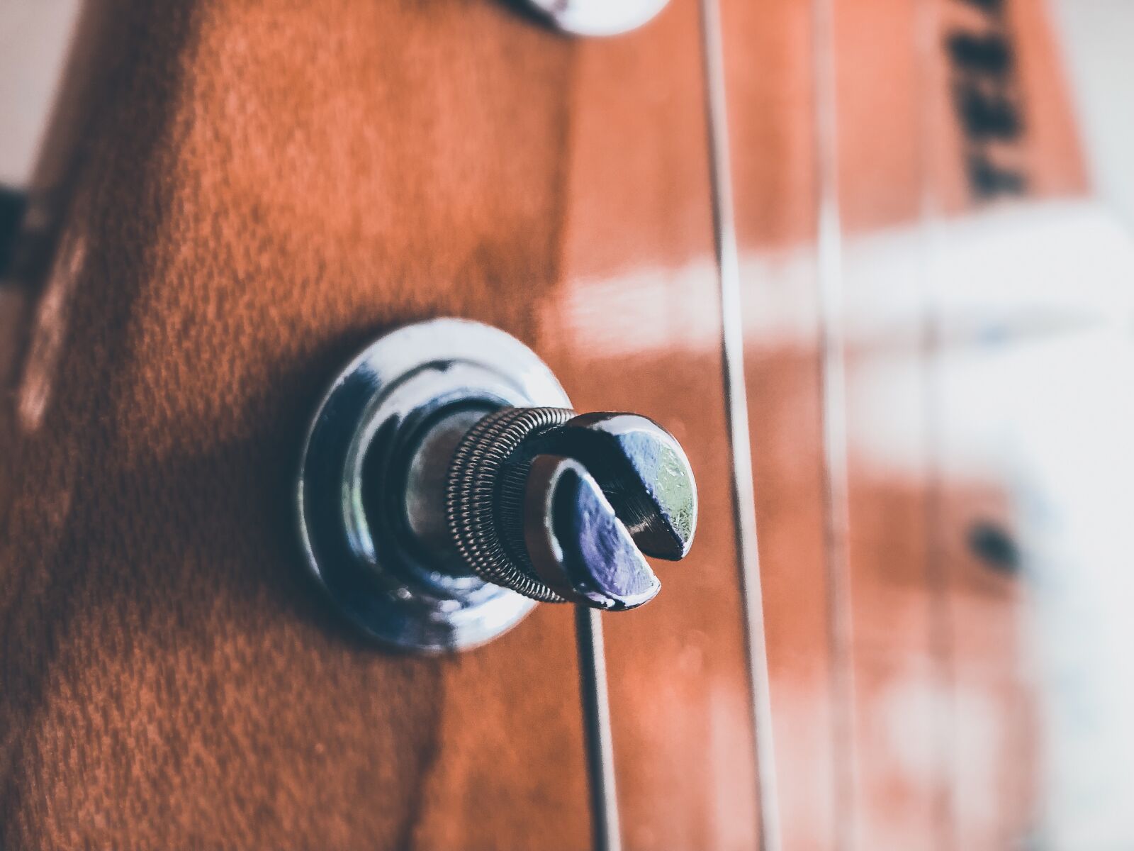 iPhone 8 Plus back dual camera 3.99mm f/1.8 sample photo. Guitar, electric guitar, macro photography