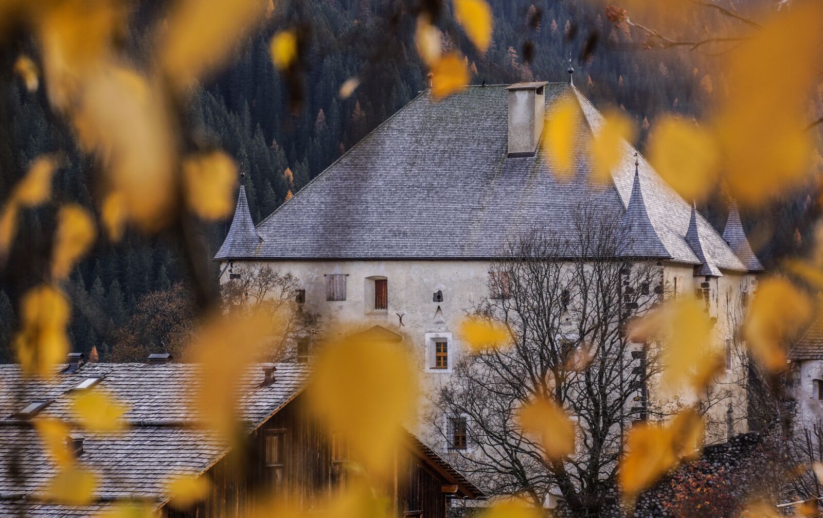 Sony SLT-A65 (SLT-A65V) + Tamron 16-300mm F3.5-6.3 Di II VC PZD Macro sample photo. Castle, hungary, leaves photography