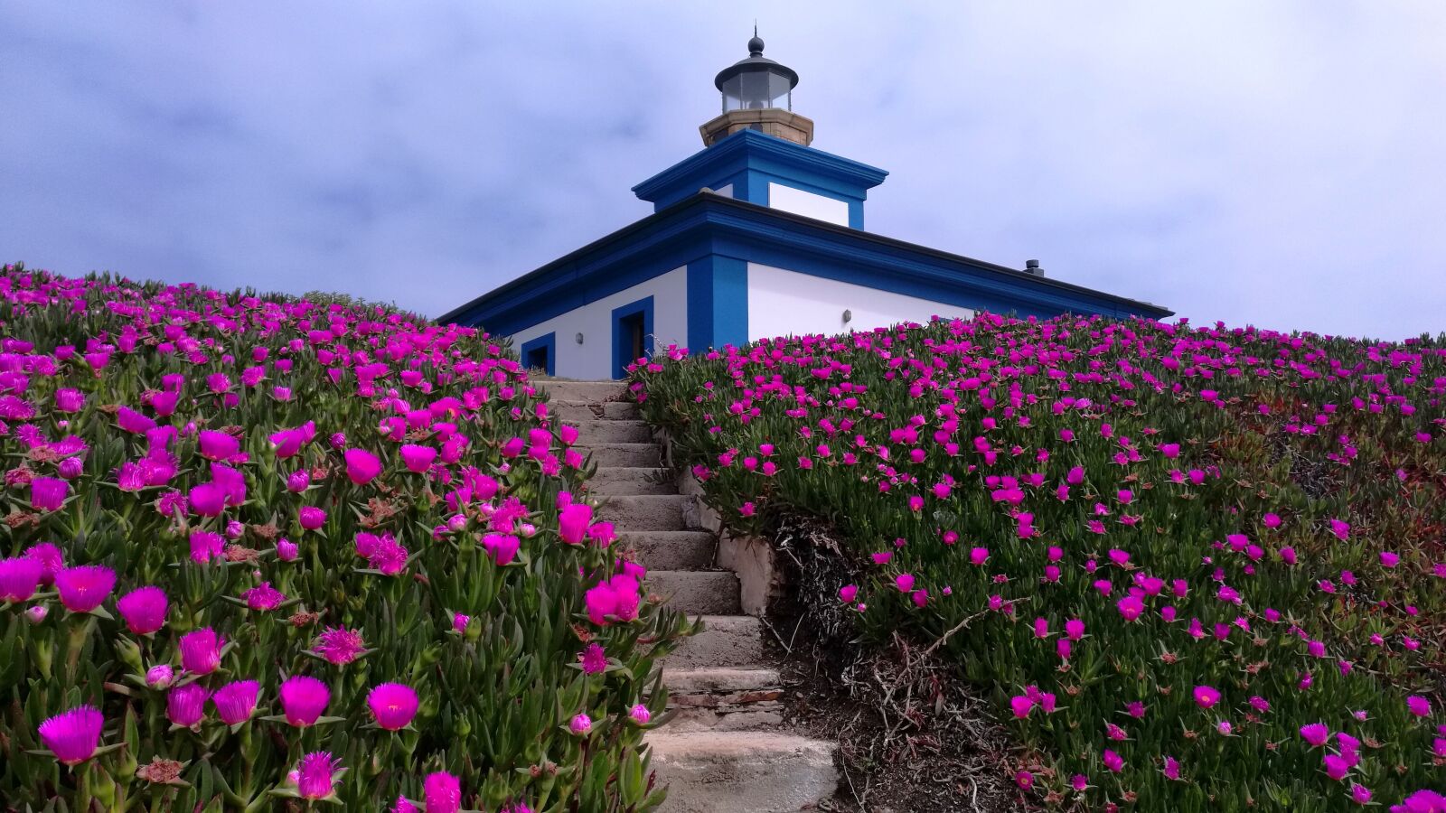 HUAWEI Mate 8 sample photo. Landscape, lighthouse, flowers photography