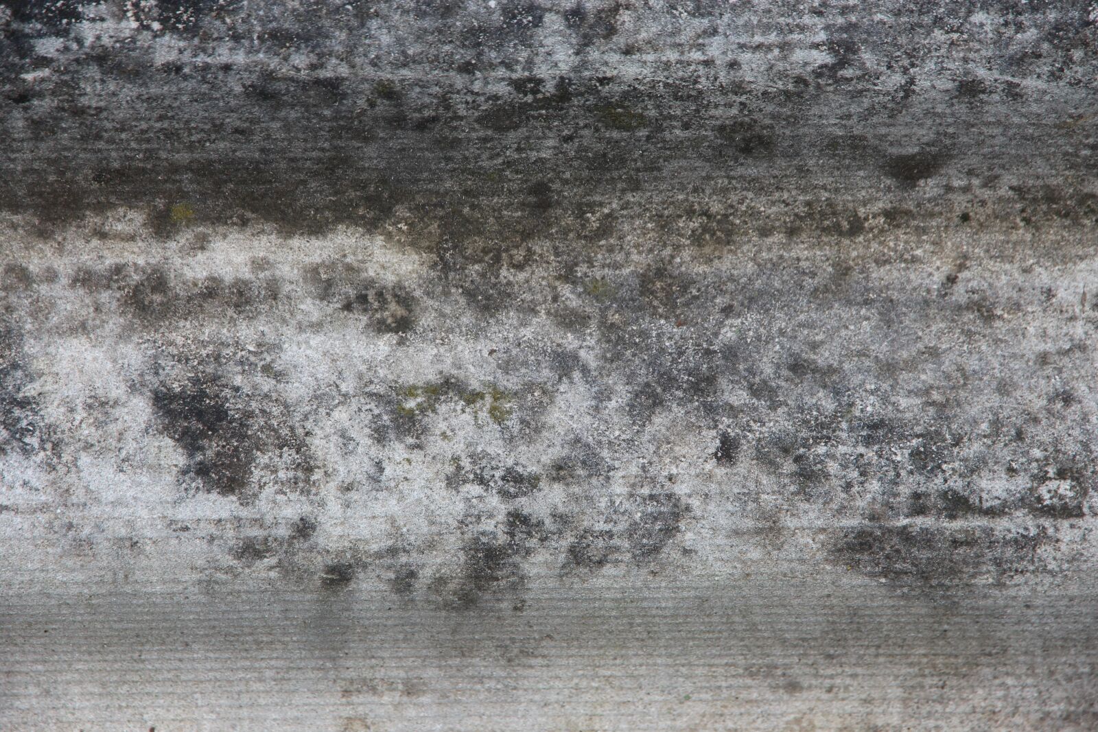 Canon EOS 650D (EOS Rebel T4i / EOS Kiss X6i) sample photo. Slate, mold, dirty photography