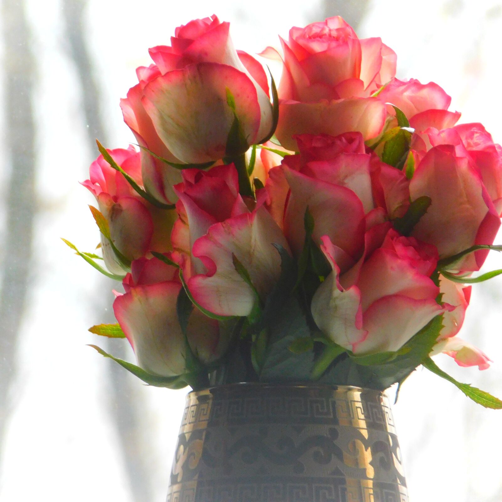 Nikon Coolpix B500 sample photo. Roses, flowers, bouquet photography