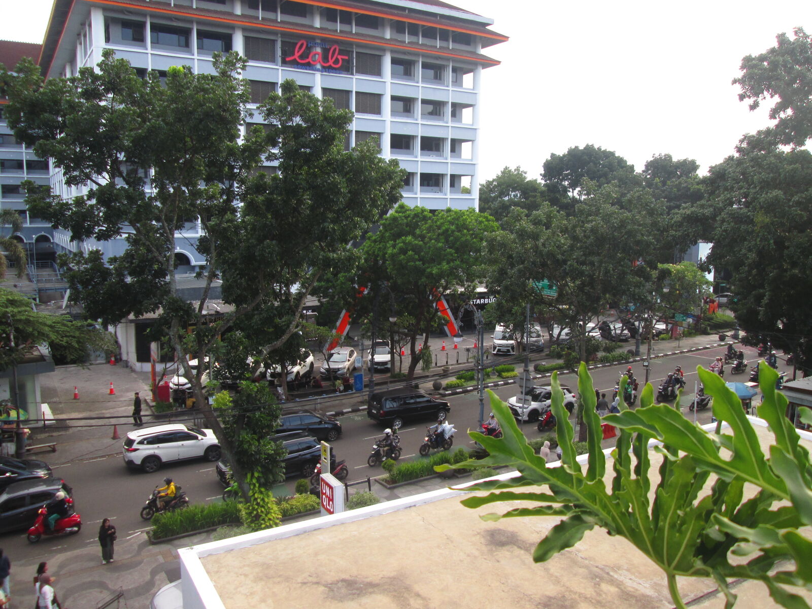 Canon PowerShot A2500 sample photo