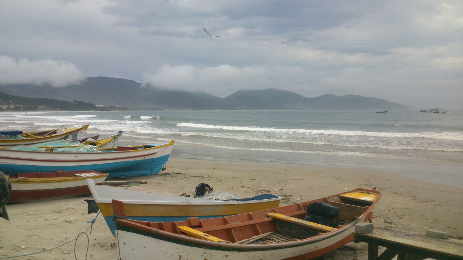 Sony Xperia P sample photo