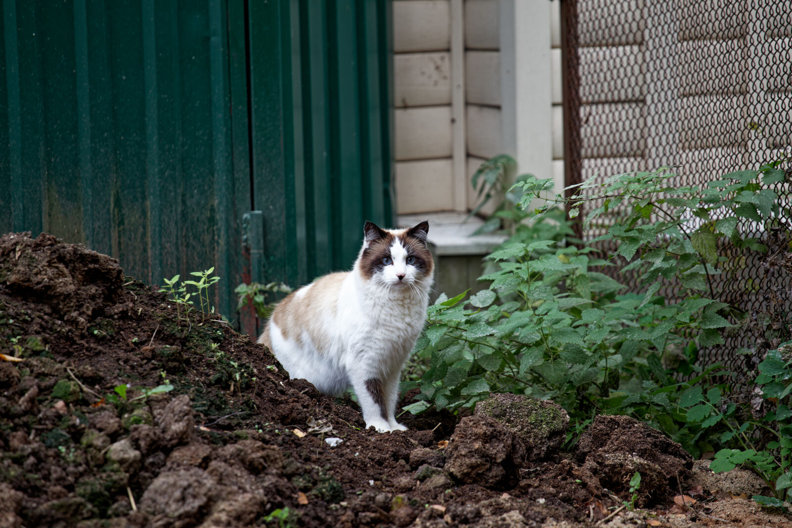 Canon EOS 5D Mark II sample photo