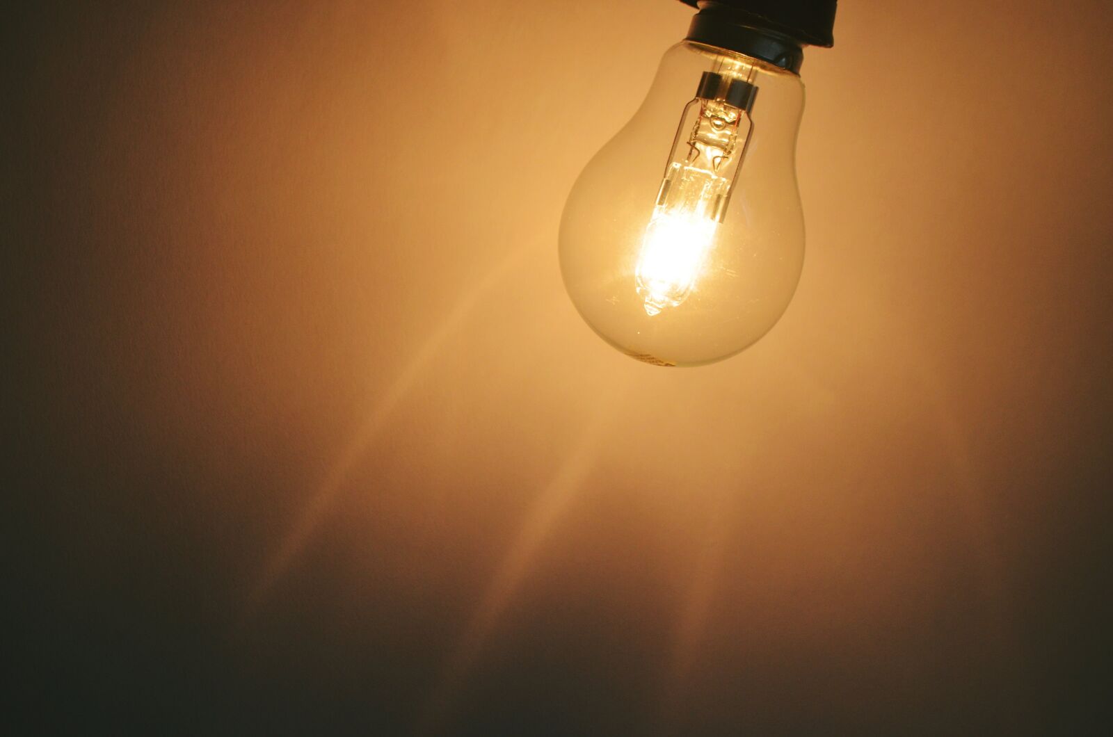 Nikon D5100 sample photo. Light, bulb, energy photography