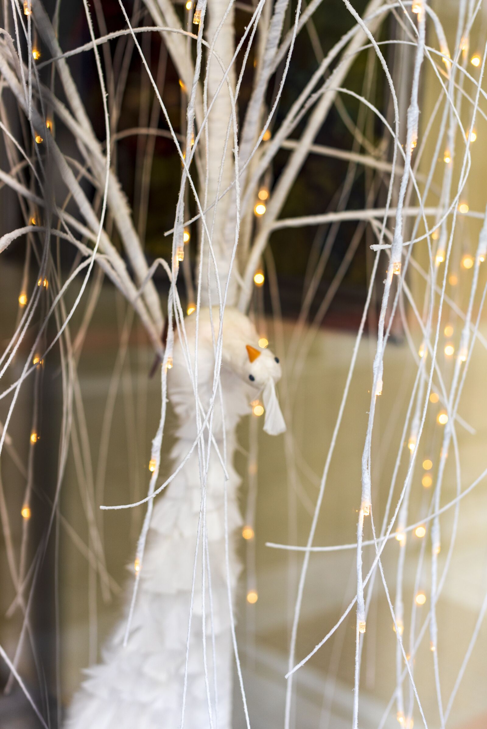Nikon D750 sample photo. Lights, christmas, decoration photography